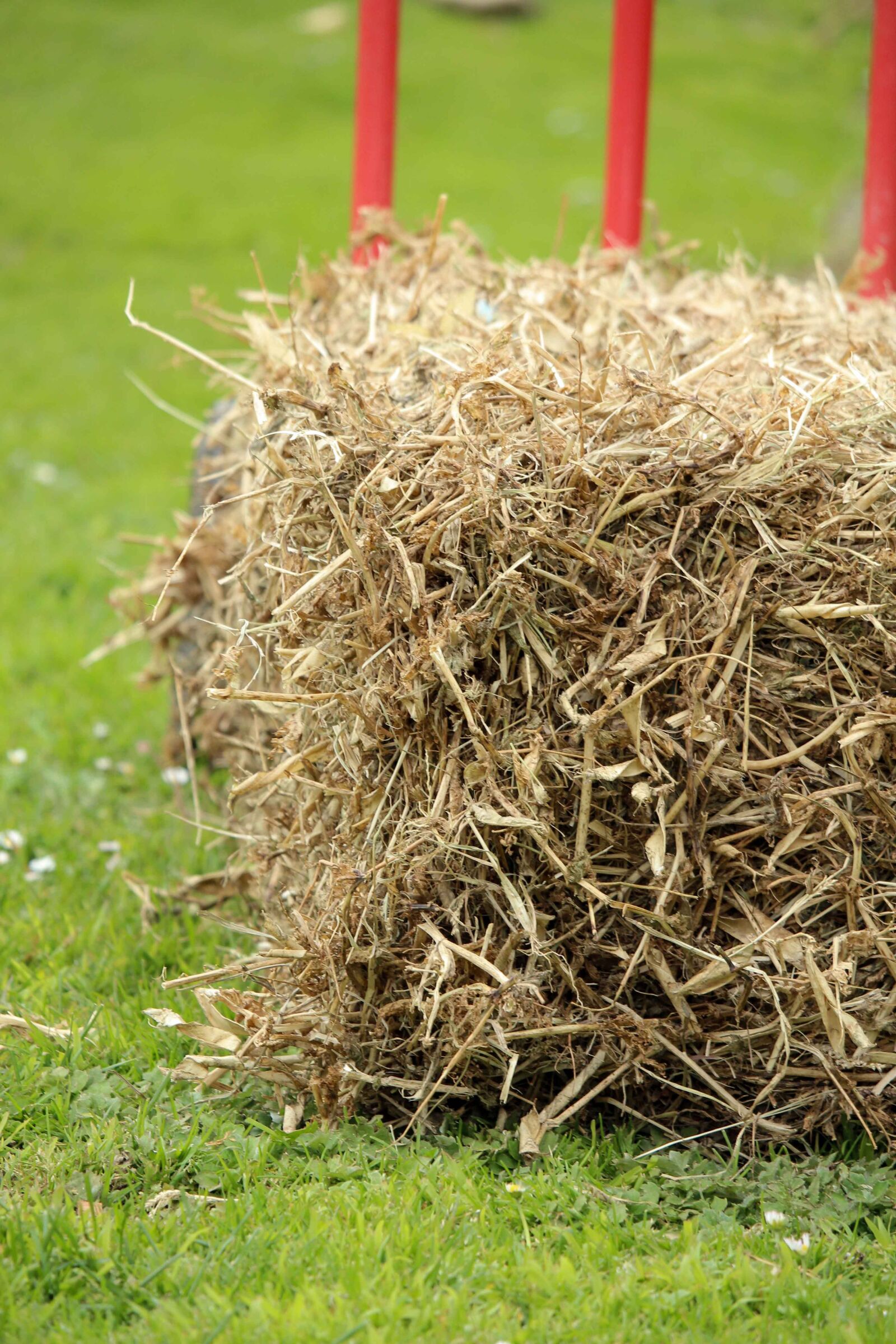 Canon EF-S 55-250mm F4-5.6 IS STM sample photo. Mulch, straw, hay photography
