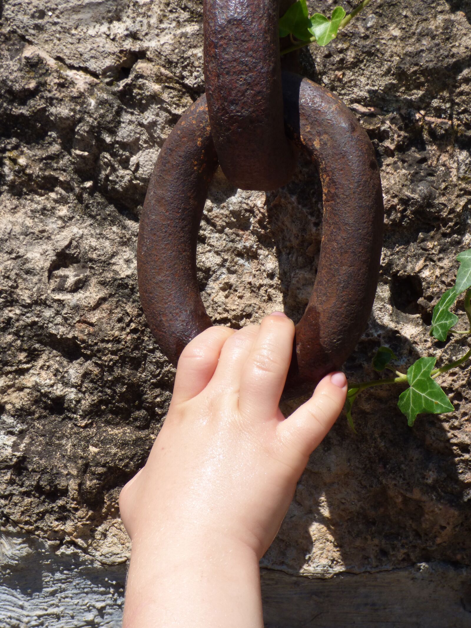 Panasonic Lumix DMC-FZ70 sample photo. Ring, iron, pull photography