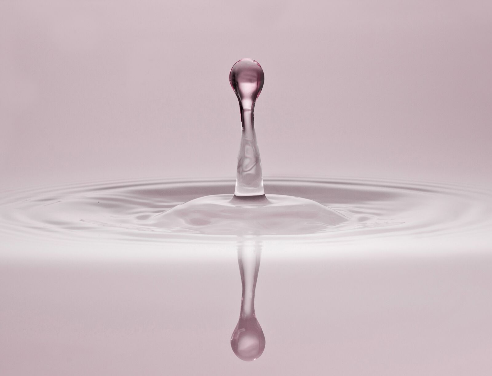 Sony SLT-A77 sample photo. Drip, water, drop of photography