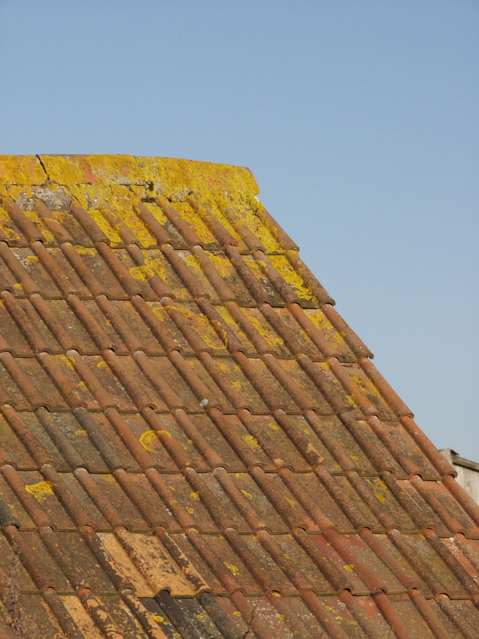 Olympus E-20,E-20N,E-20P sample photo. Tiles, roof, architecture photography