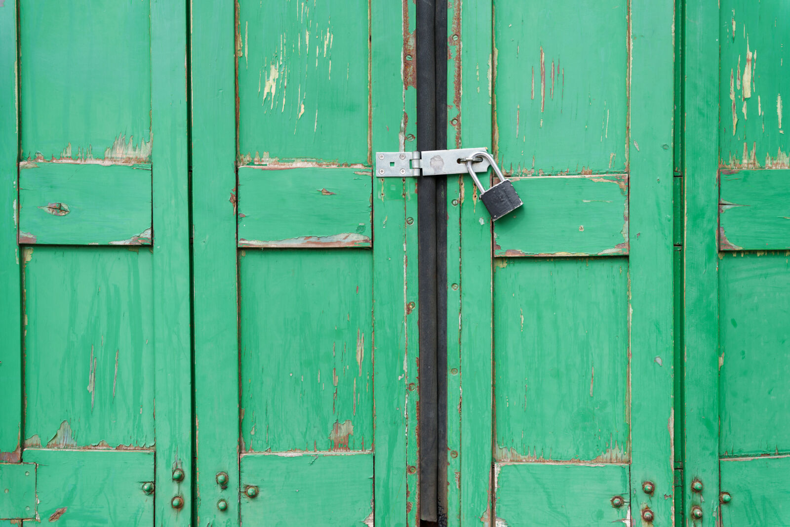 Sony a7R V sample photo. Old door decay photography