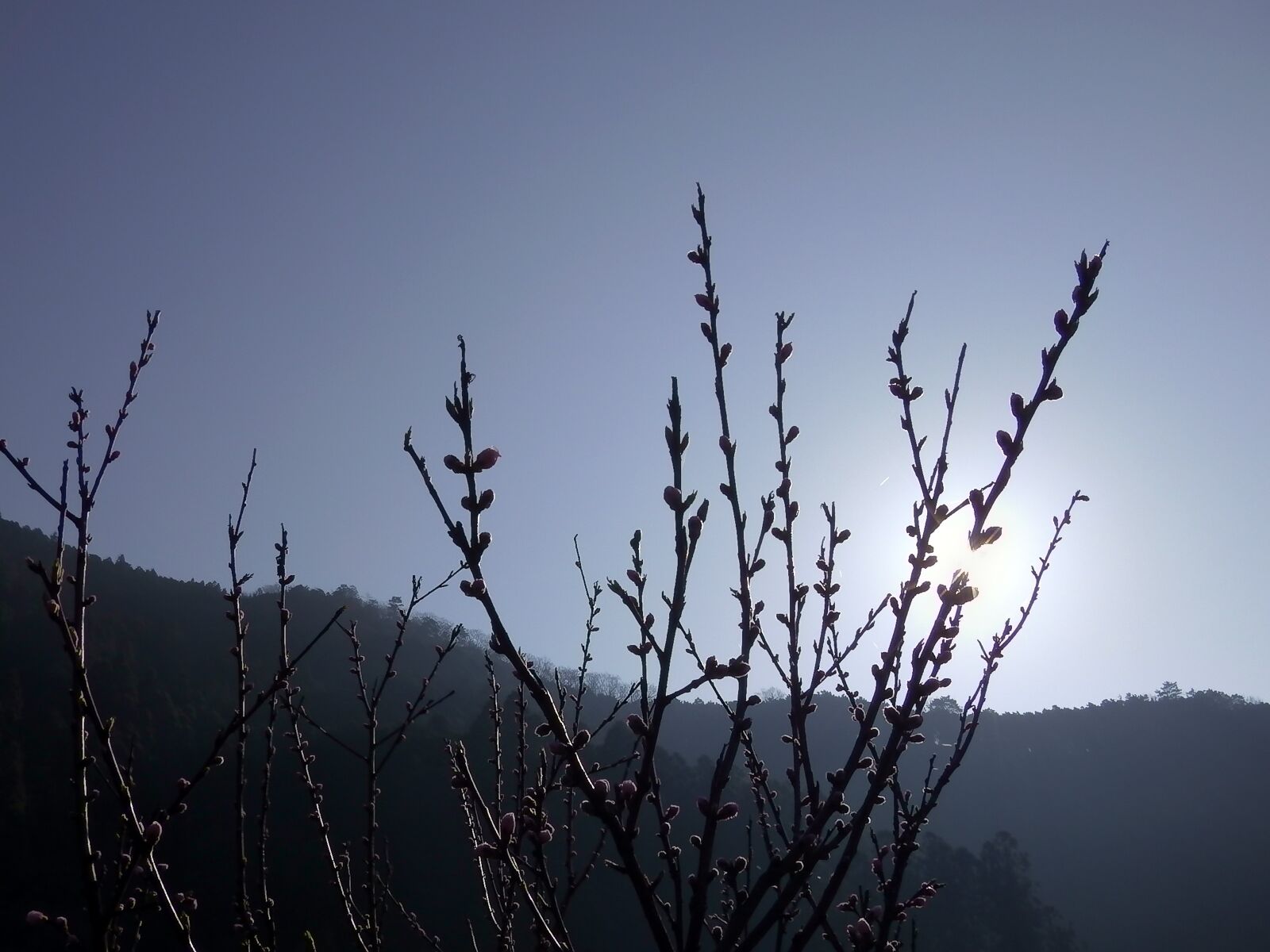 Panasonic HX-WA30 sample photo. Sun, moning, sky photography