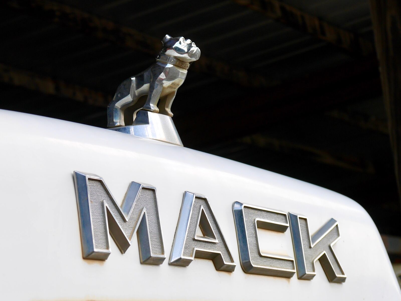 Panasonic Lumix DMC-GM1 sample photo. Mack, truck, bulldog photography