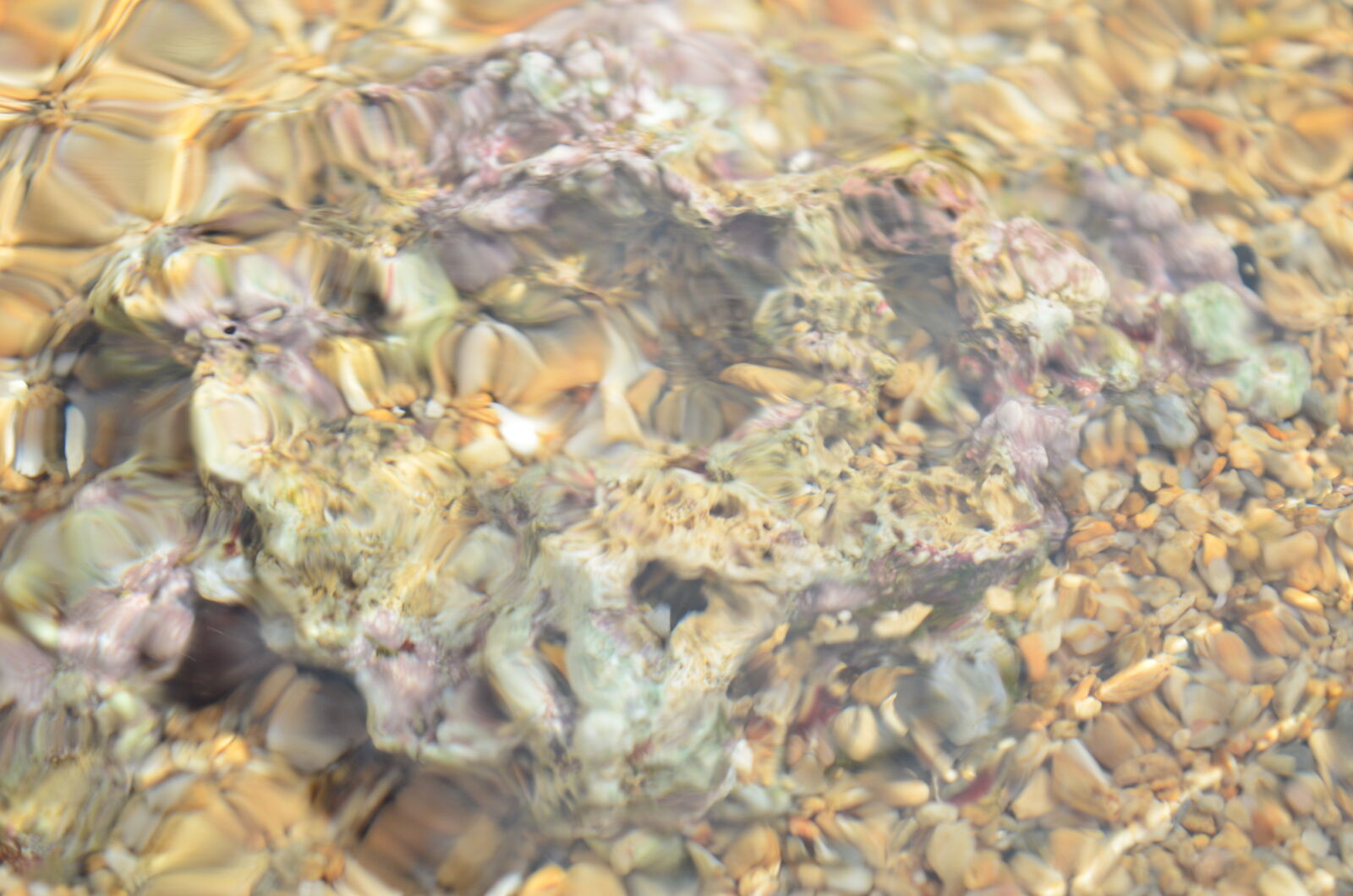 Nikon D5100 sample photo. Beach, coral, reef, ocean photography