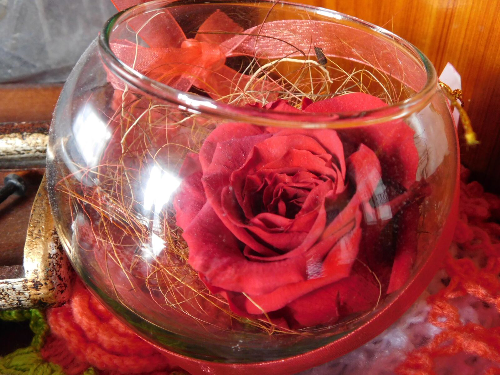 Nikon Coolpix L840 sample photo. Gifft, rose, love photography