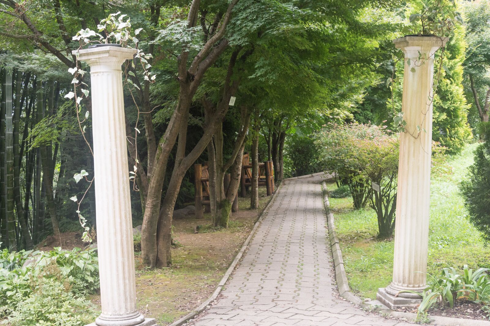 Nikon D7200 sample photo. Nature, park, greens photography