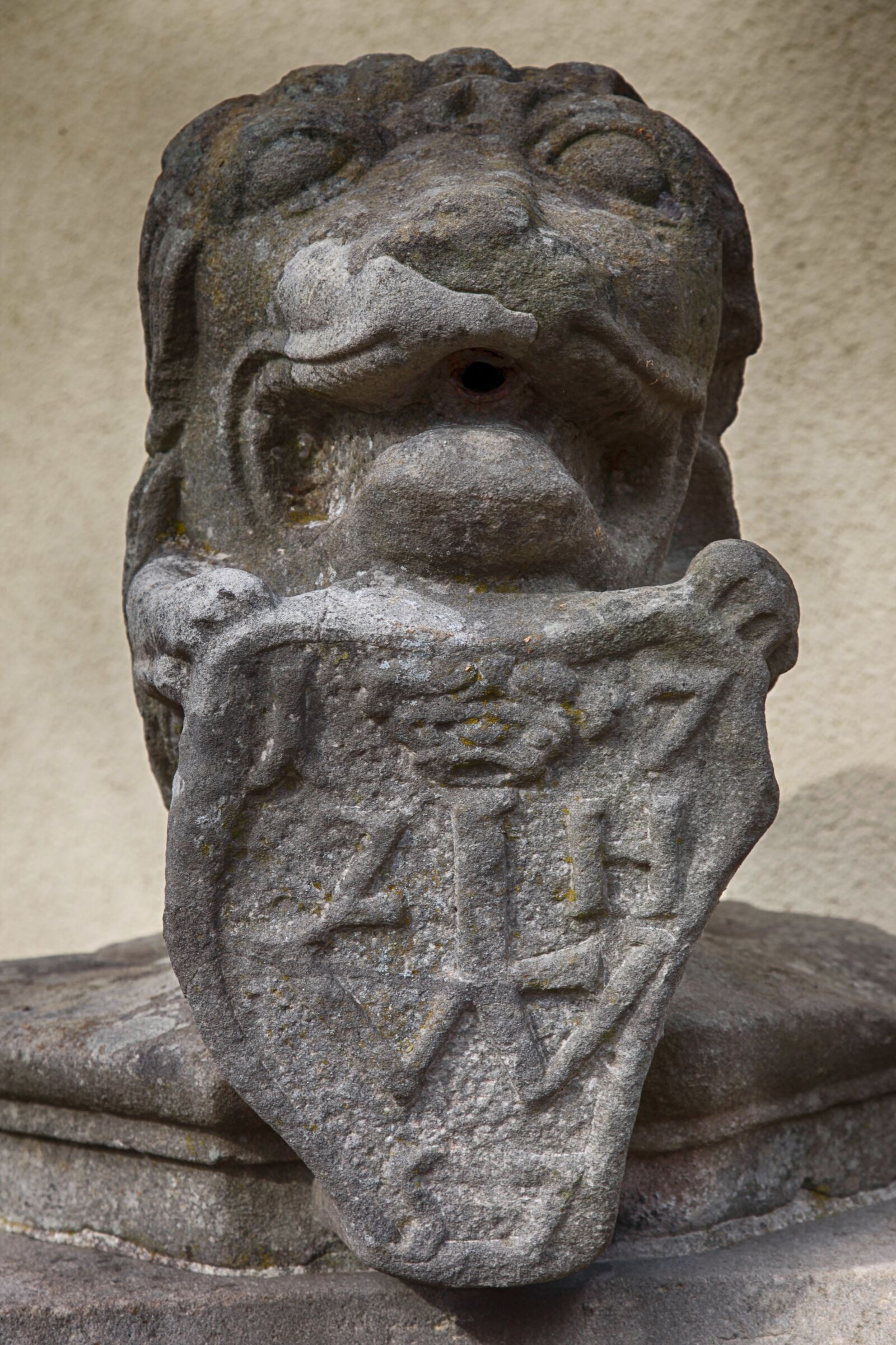 Canon EOS 5D Mark II sample photo. Lion, lion head, sand photography