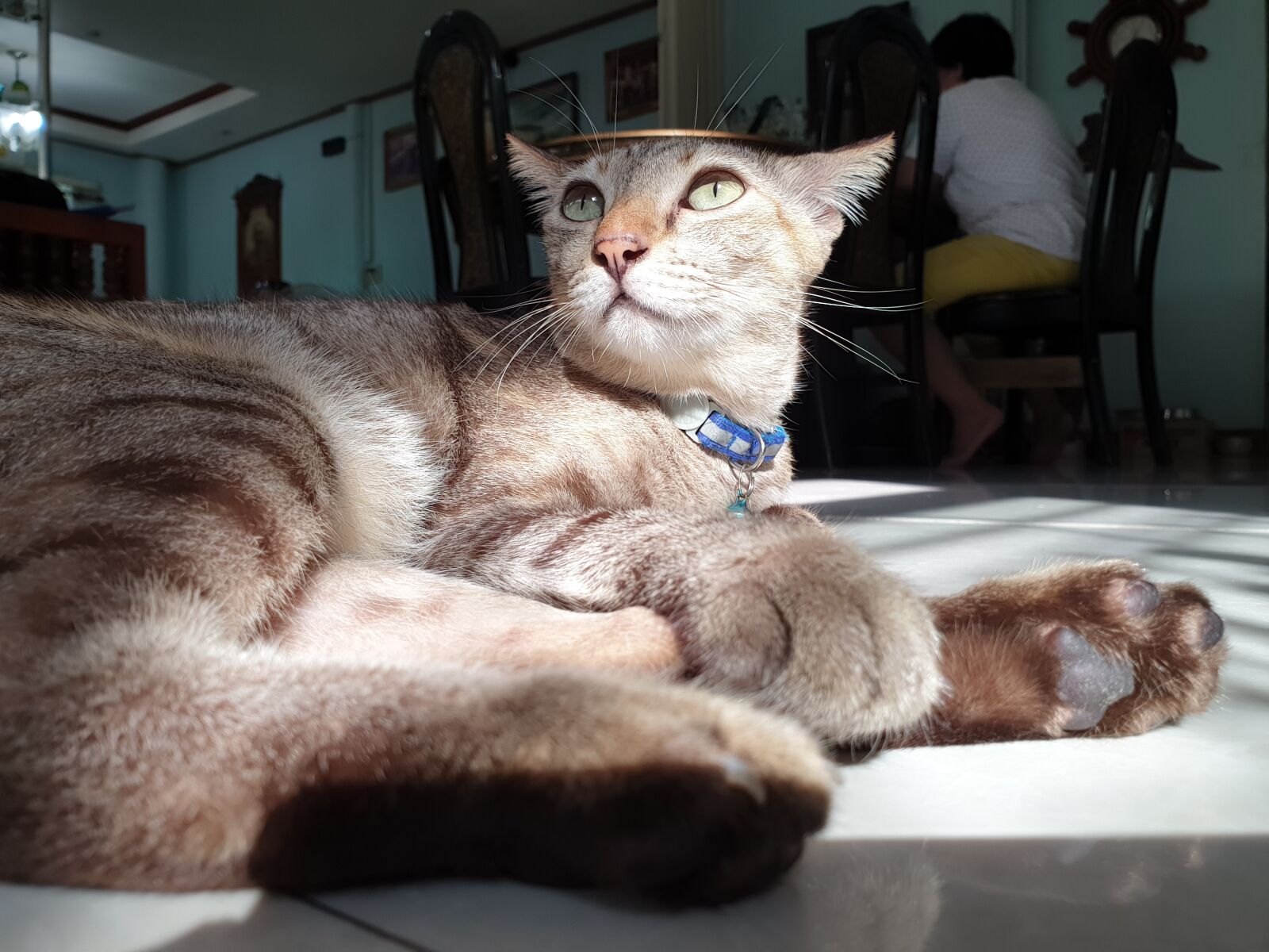 Samsung Galaxy S9+ sample photo. Pear, keerawan, iem photography