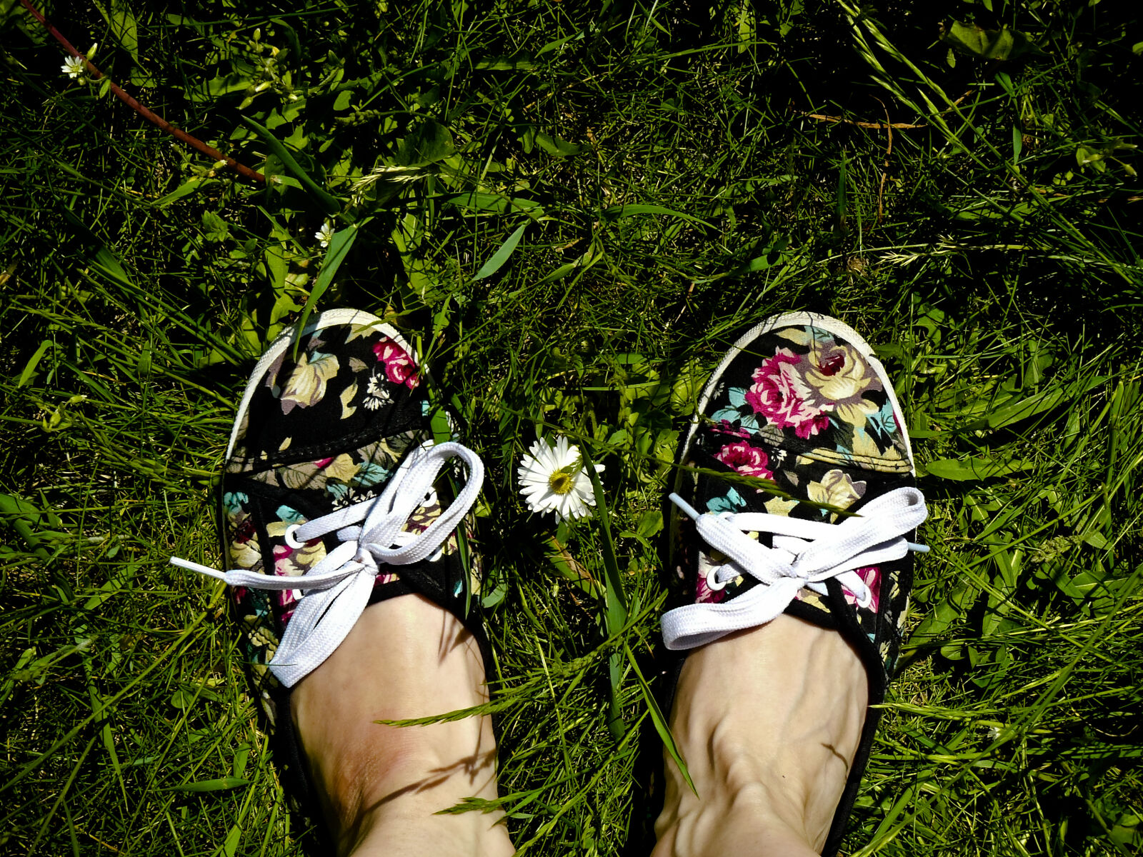 Panasonic DMC-FZ8 sample photo. Feet, flower, grass, shoe photography
