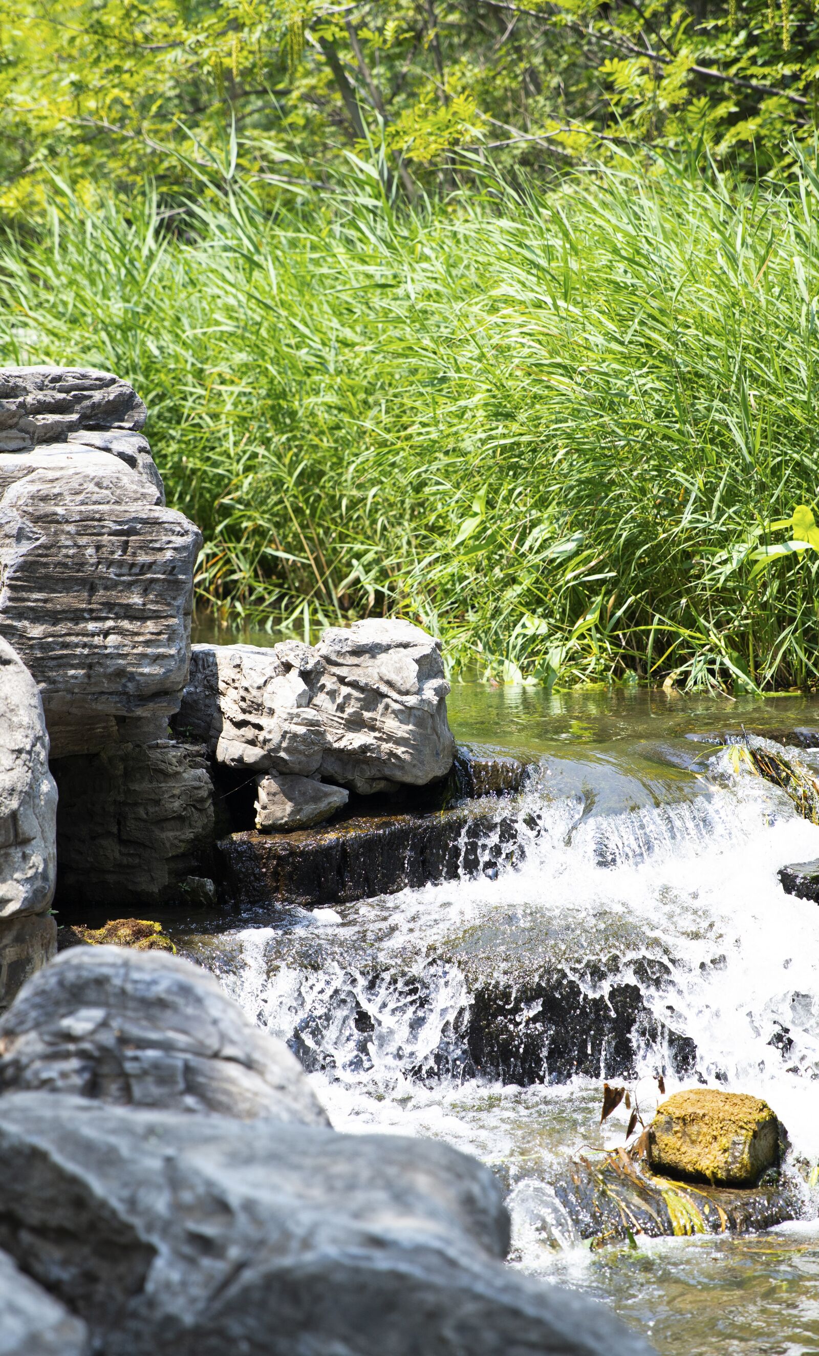 Canon EOS 5DS R sample photo. River, stone, park photography