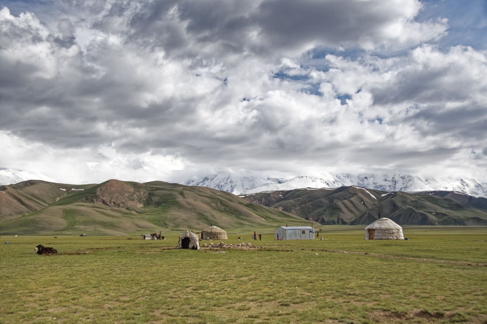 Nikon D500 sample photo. Kyrgyzstan, nomads, yurts photography