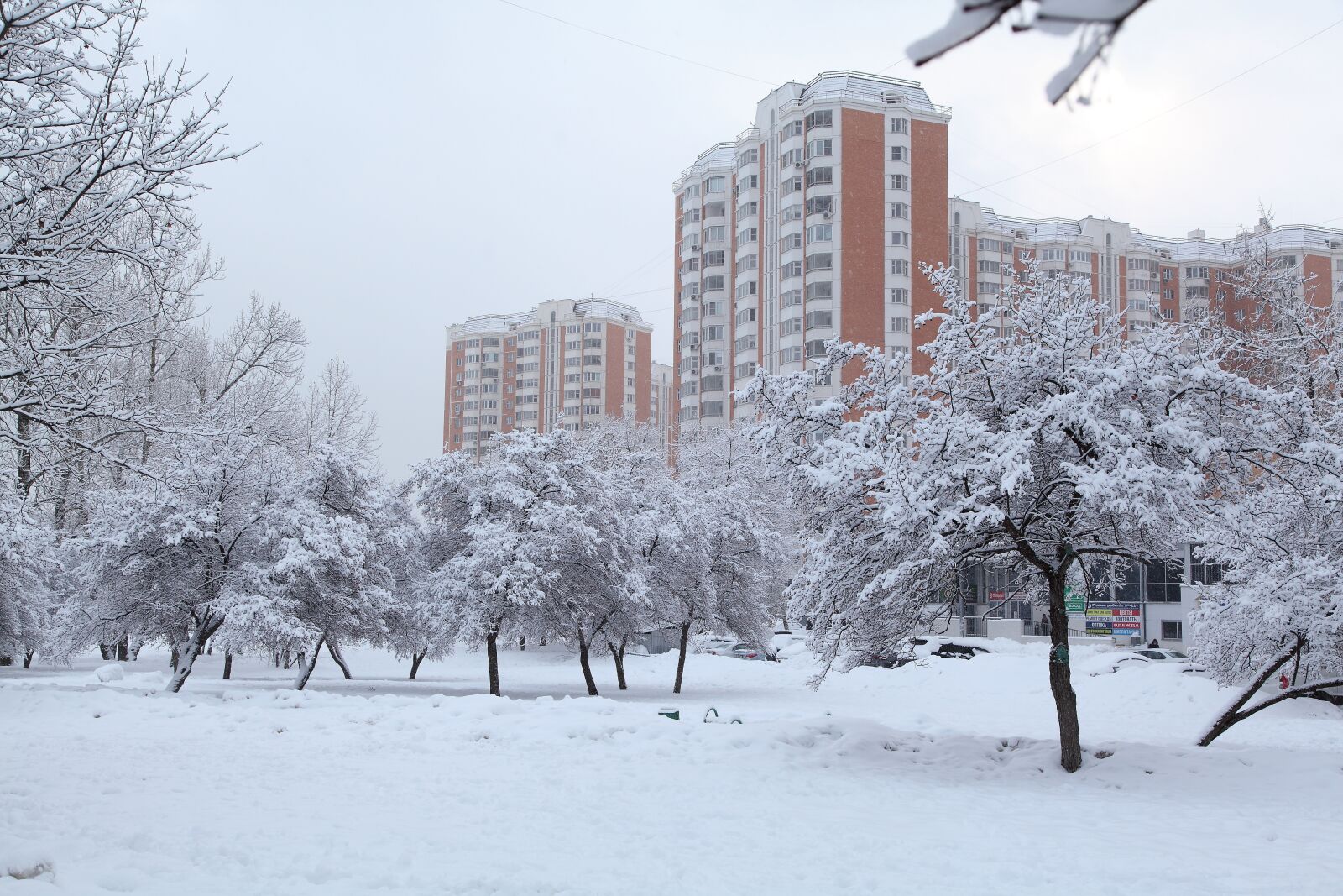 Canon EOS 5D Mark II sample photo. Russian winter, white snow photography