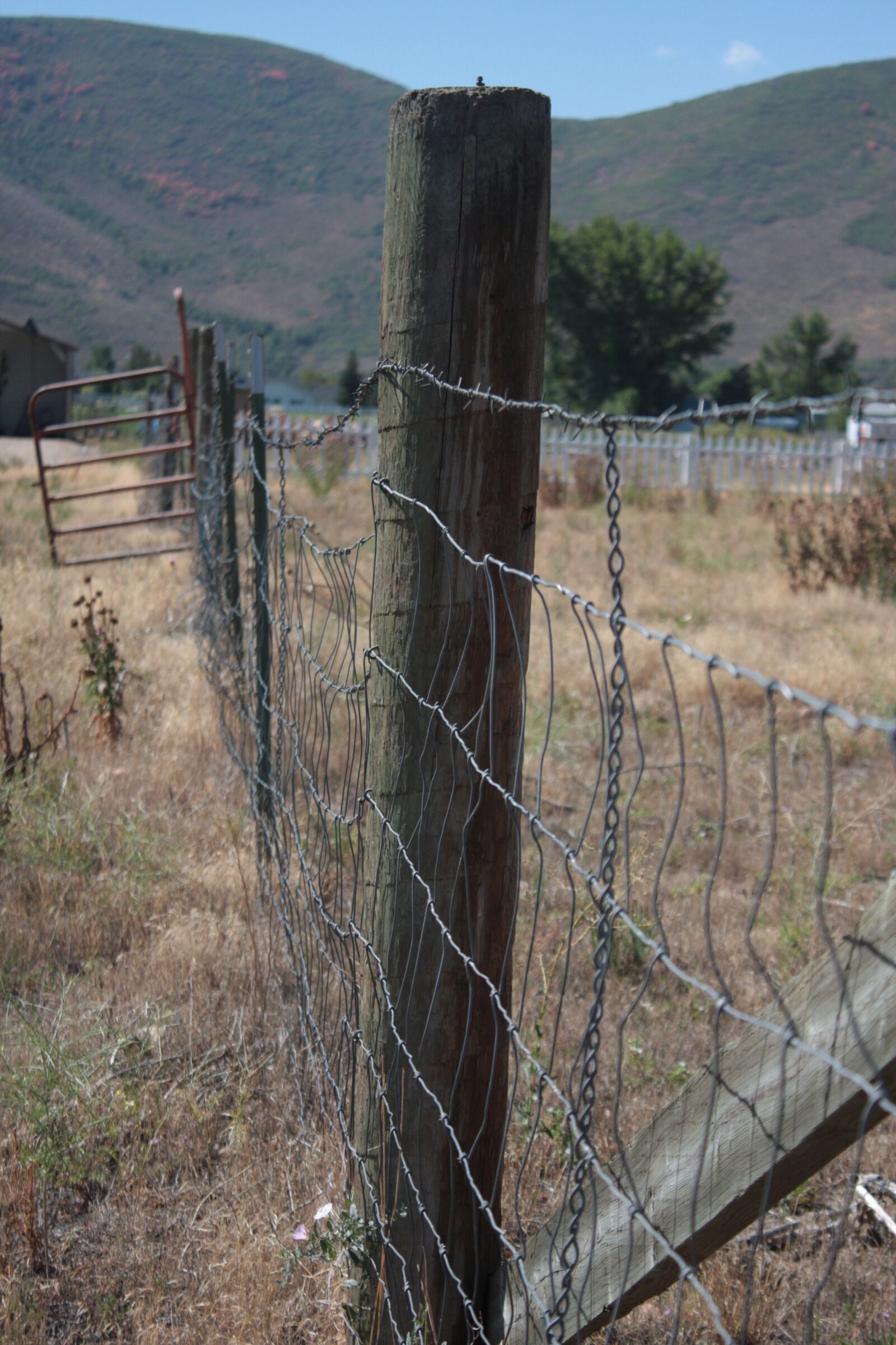 Canon EOS 40D sample photo. Fence, west, western photography