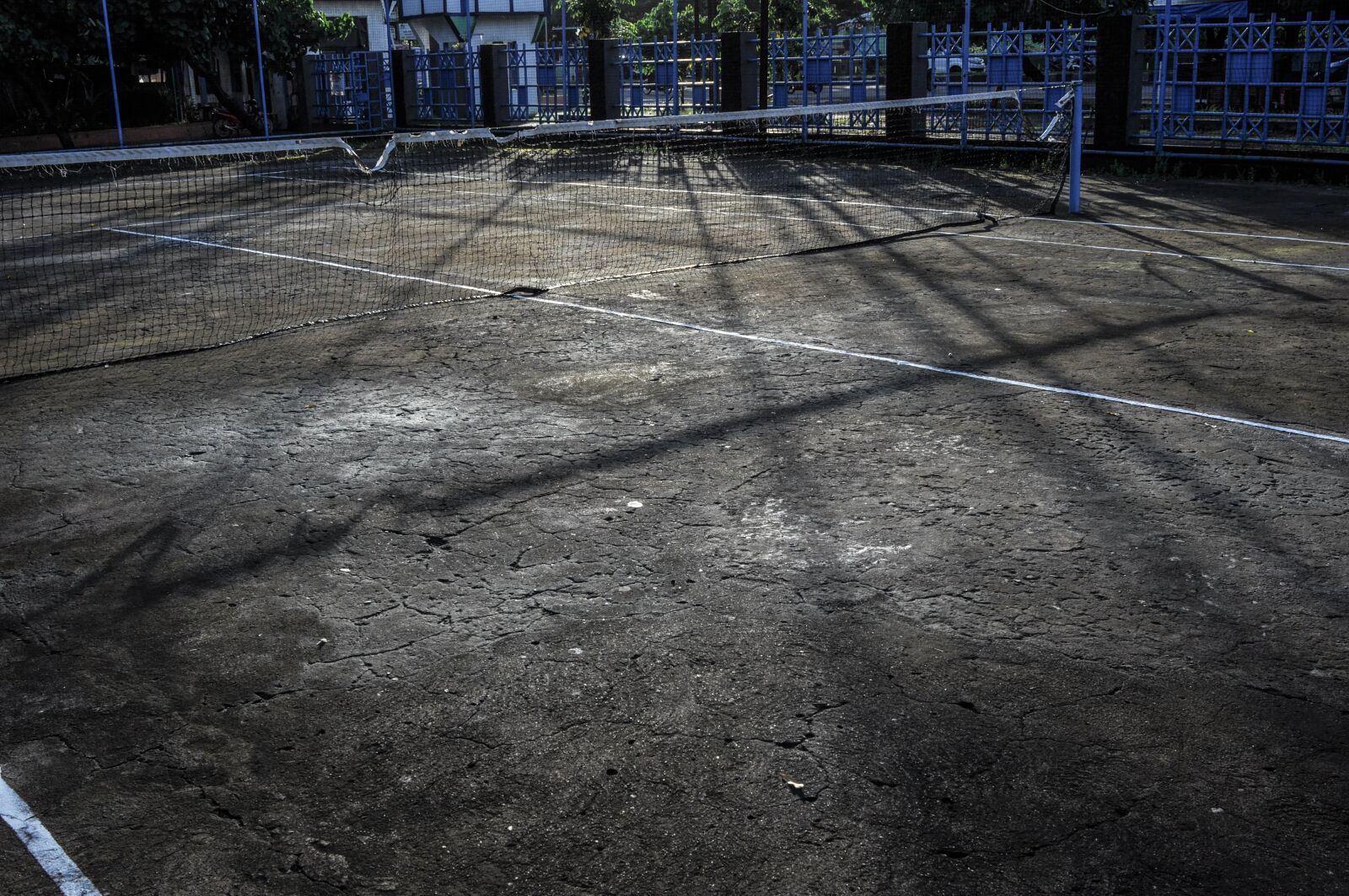 Nikon D90 sample photo. Tennis, lawn, tennis court photography