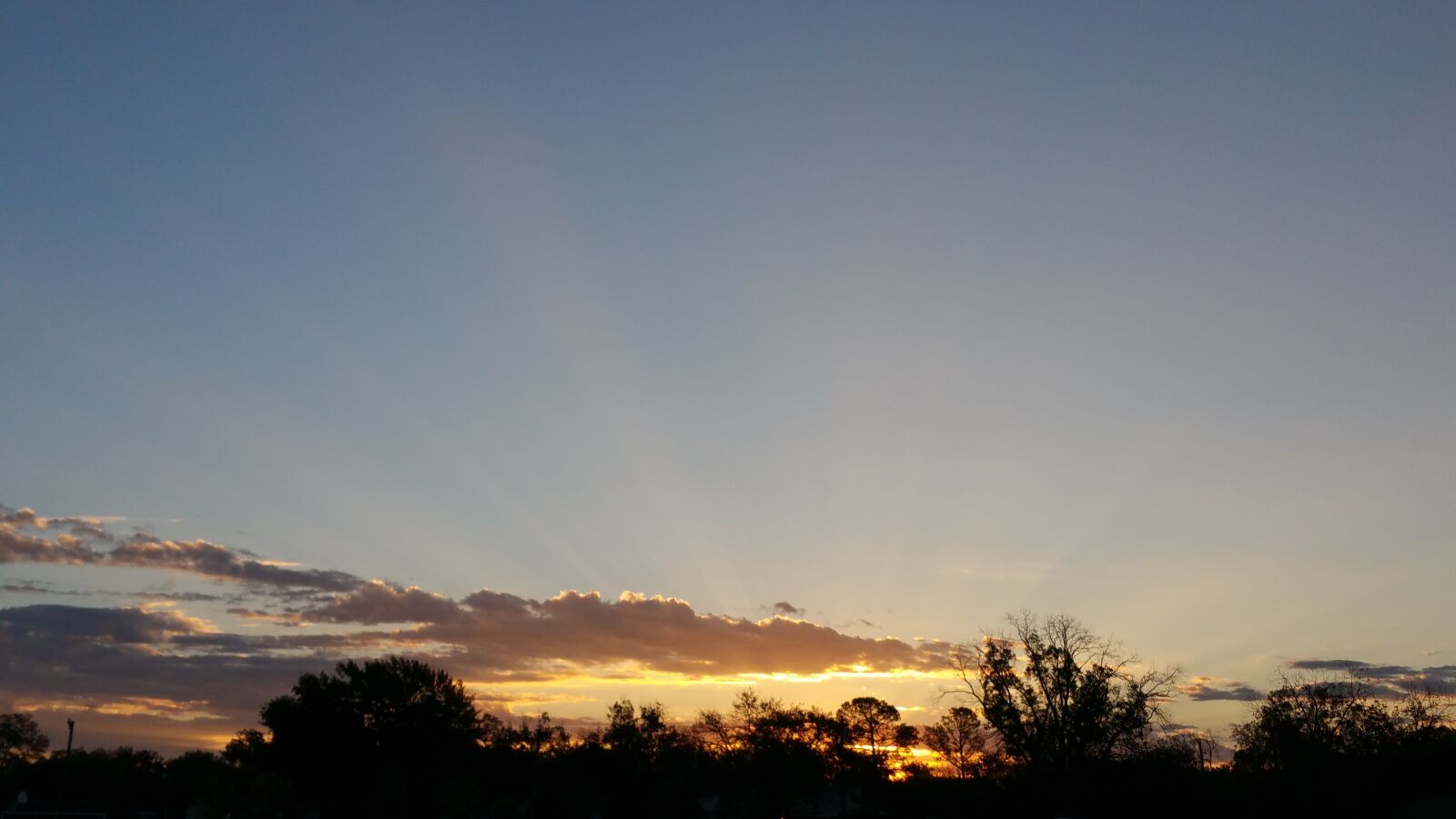Samsung Galaxy Note4 sample photo