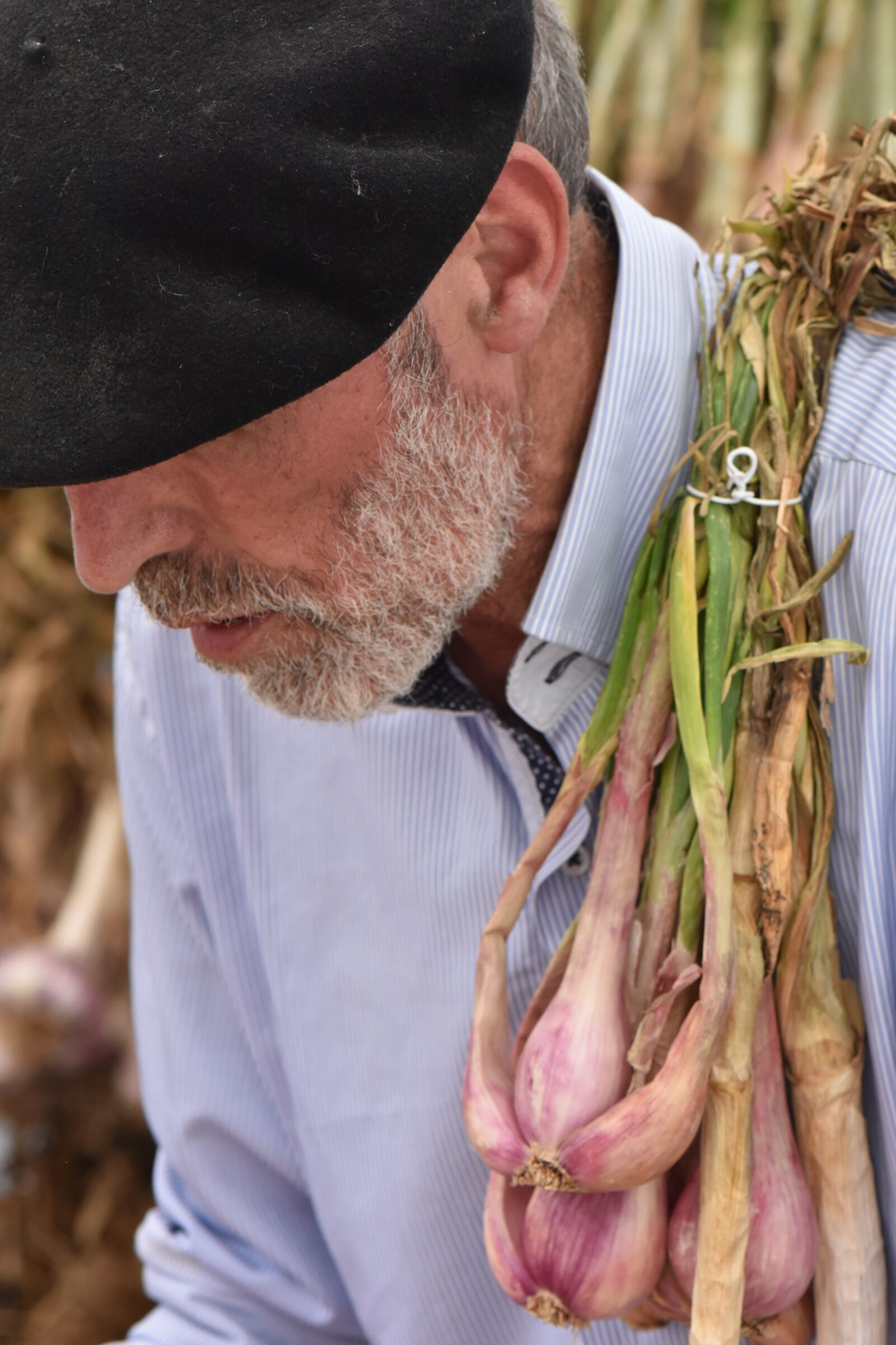 Nikon D7200 sample photo. Man, farmer, seller photography
