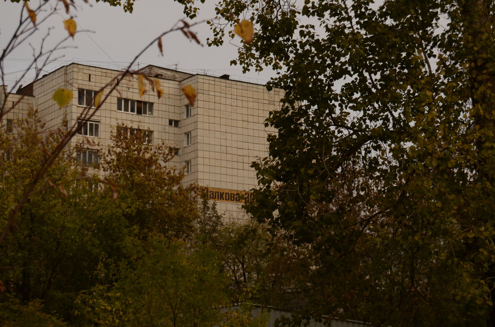 Nikon D5100 sample photo
