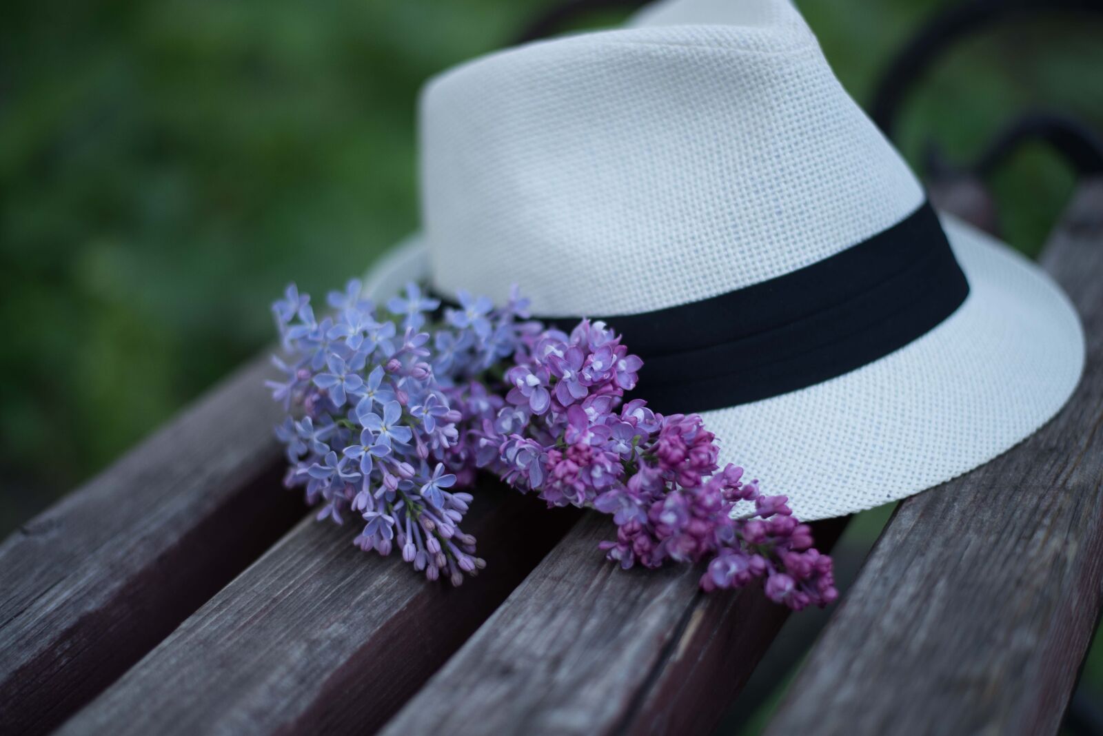 Nikon D610 sample photo. Hat, lilac, bench photography