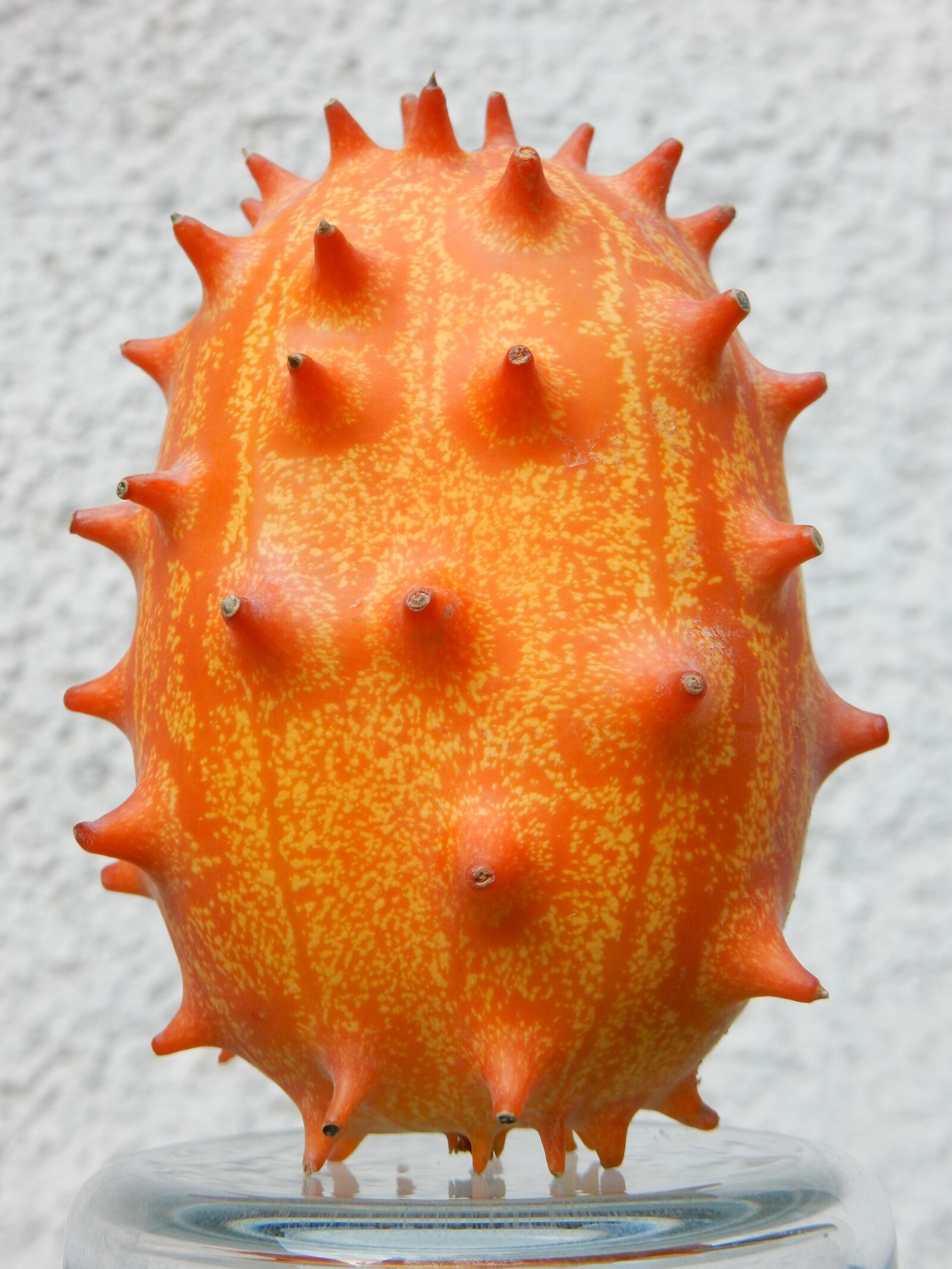 Nikon Coolpix S9700 sample photo. Fruit, orange, exotic photography
