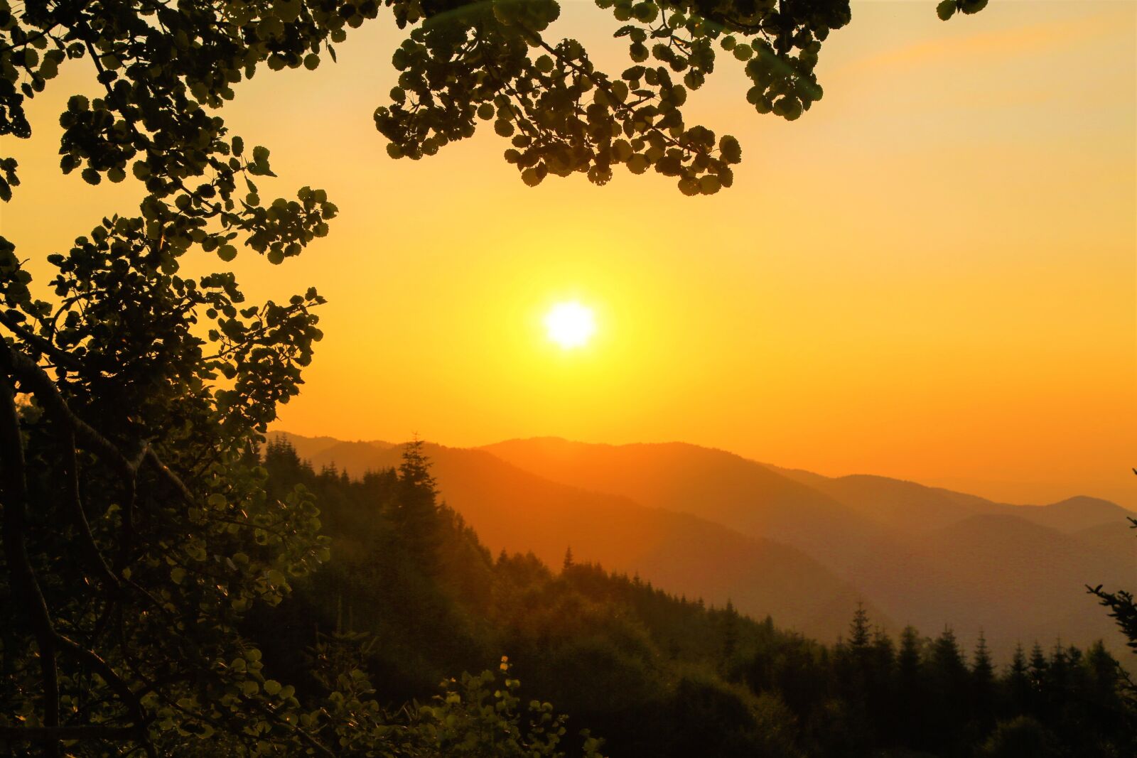 Canon EF 24-105mm F4L IS USM sample photo. Sunset, nature, landscape photography