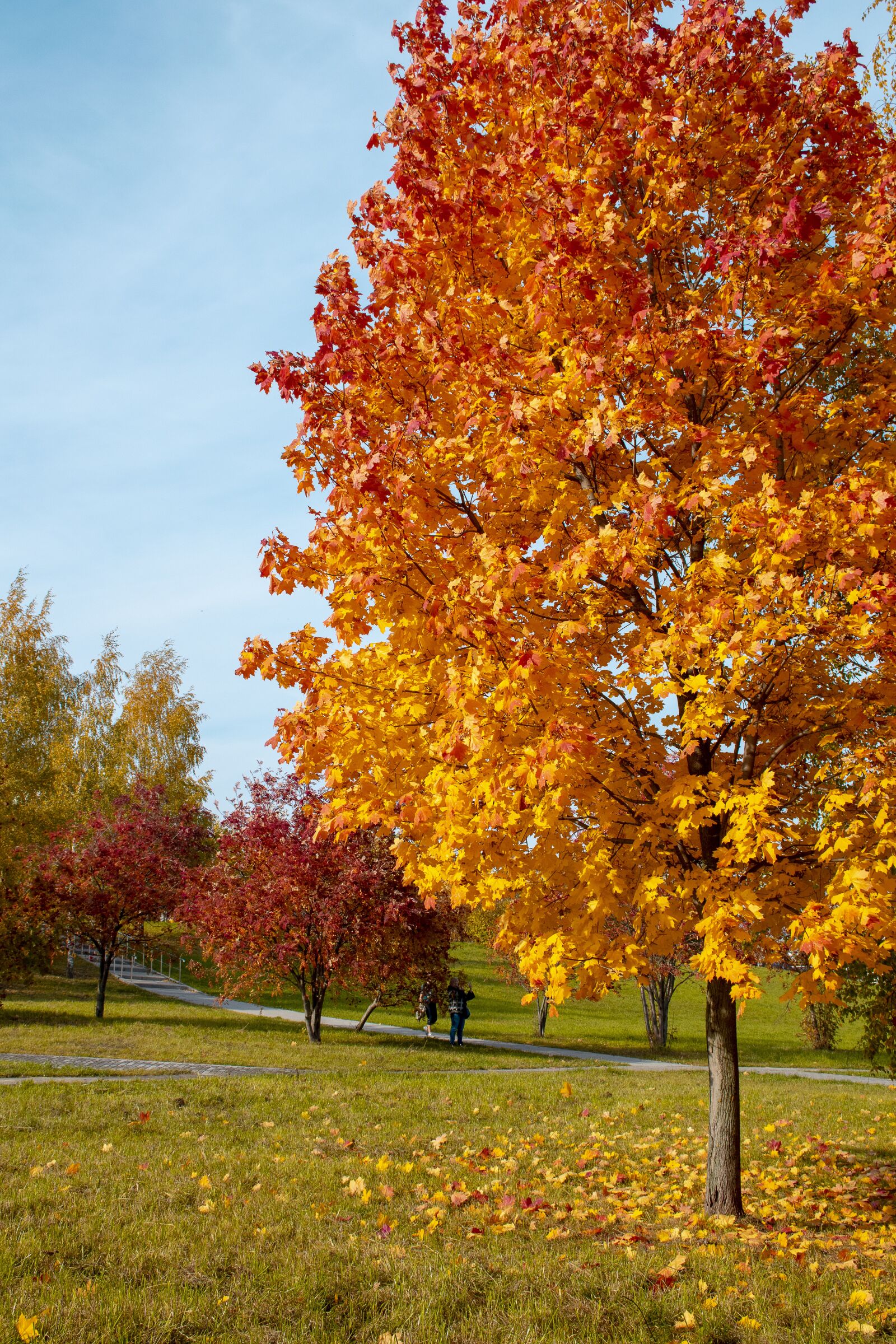 Nikon D5300 sample photo. Autumn, foliage, landscape photography