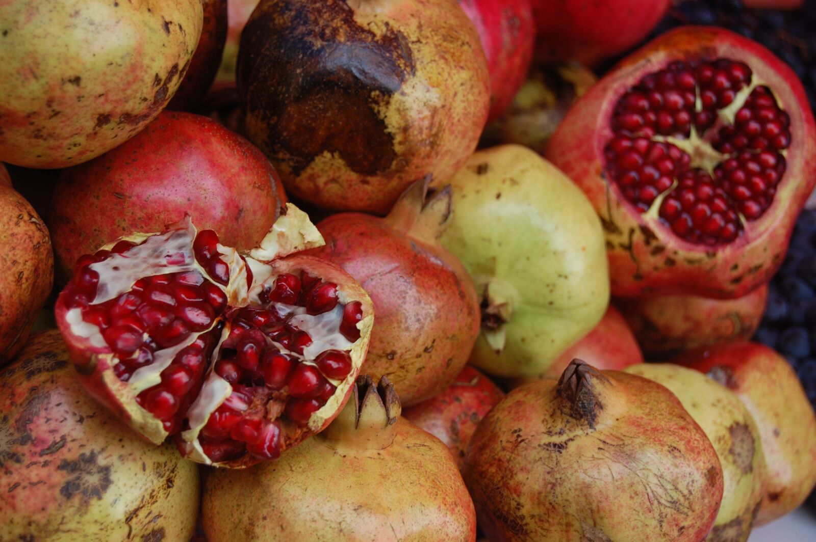 Nikon D40 sample photo. Pomegranate, fruit, ripe photography