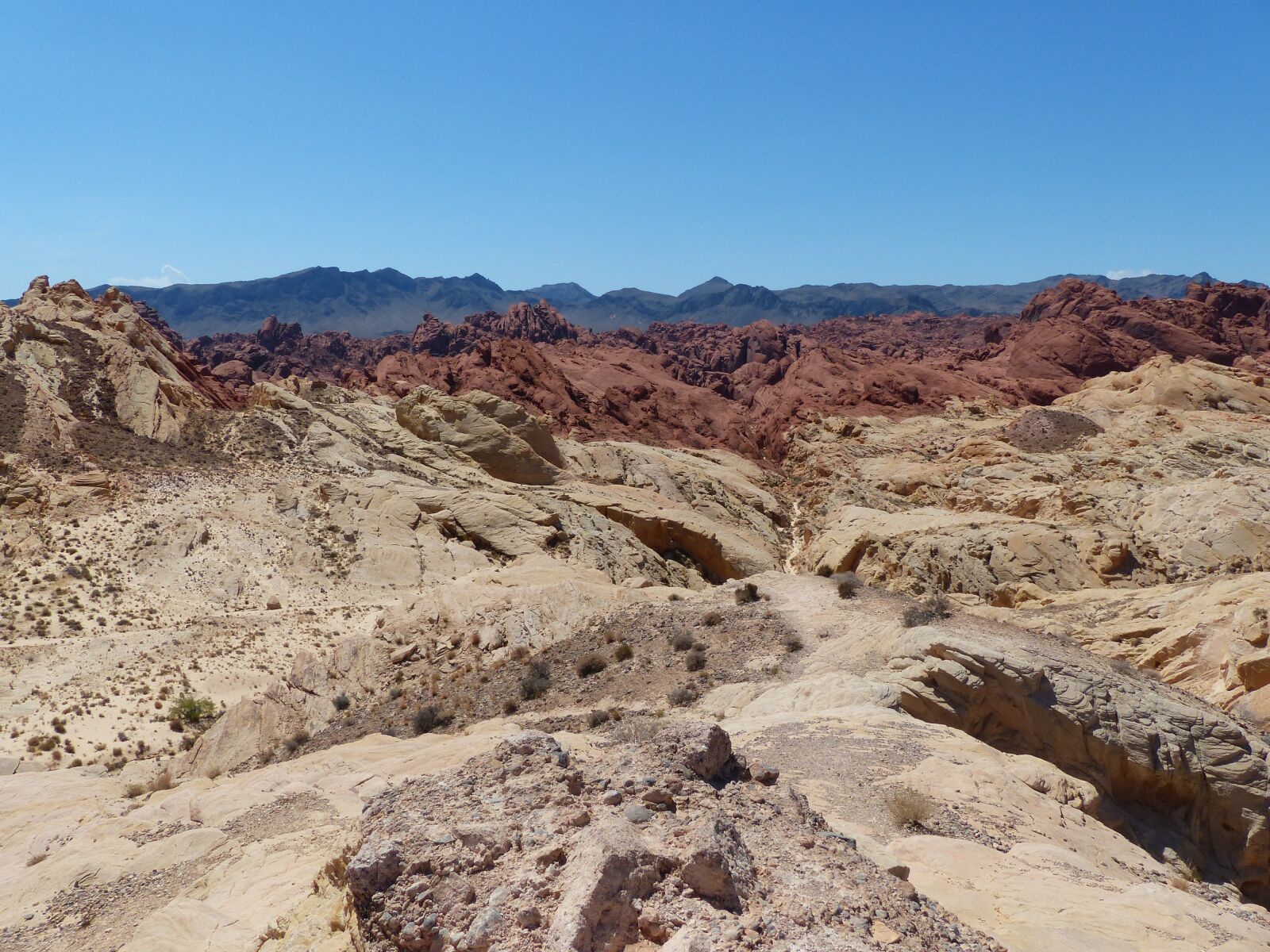 Panasonic Lumix DMC-FZ200 sample photo. Usa, nevada, valley of photography