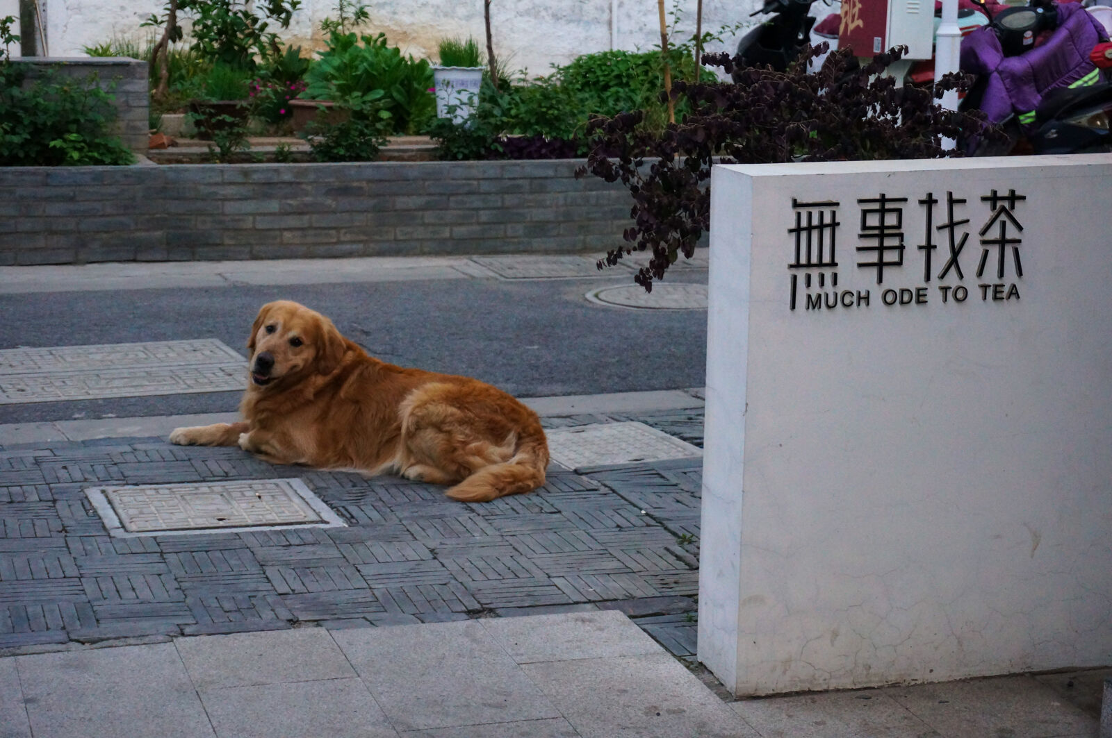 Sony Alpha NEX-5N sample photo