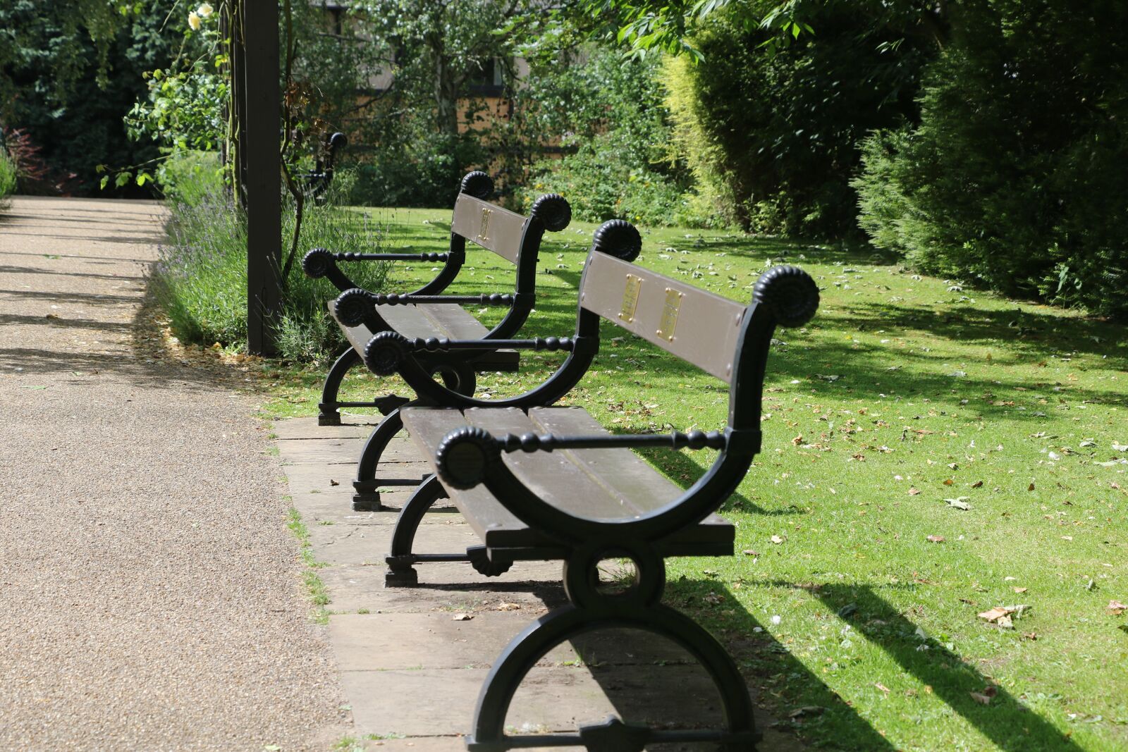 Canon EOS 7D Mark II sample photo. Bench, garden, seat photography