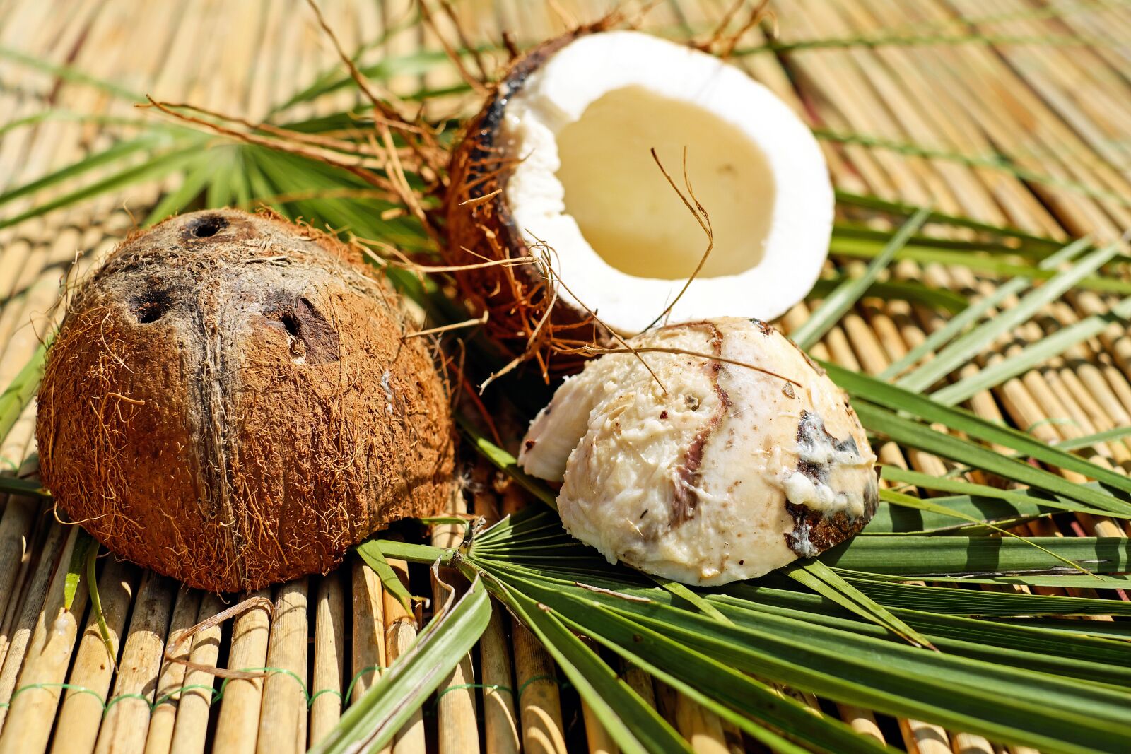 Fujifilm X-T10 + Fujifilm XF 35mm F1.4 R sample photo. Coconut, nut, shell photography