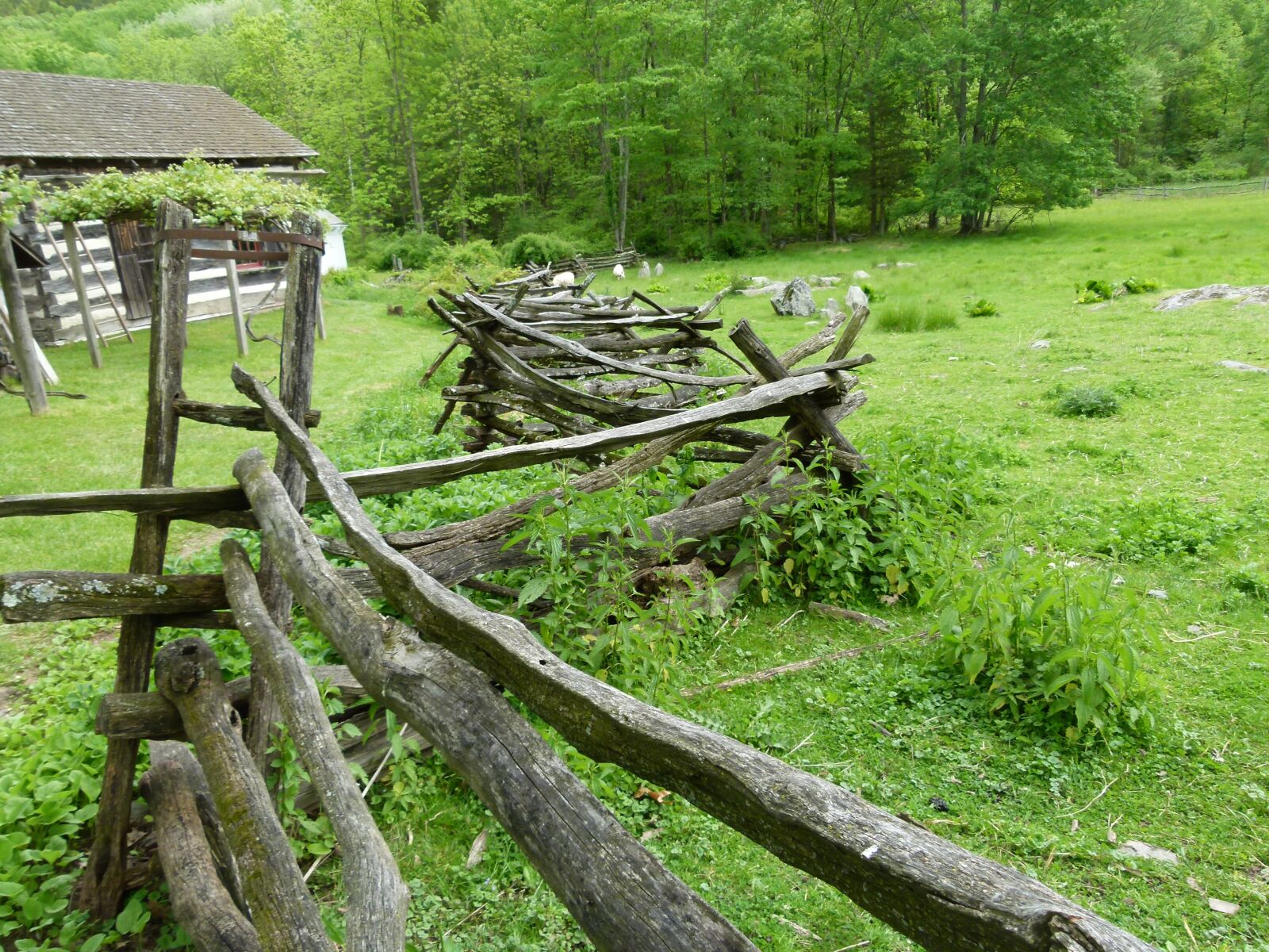 Panasonic Lumix DMC-FZ100 sample photo. Split rail fence, farmhouse photography