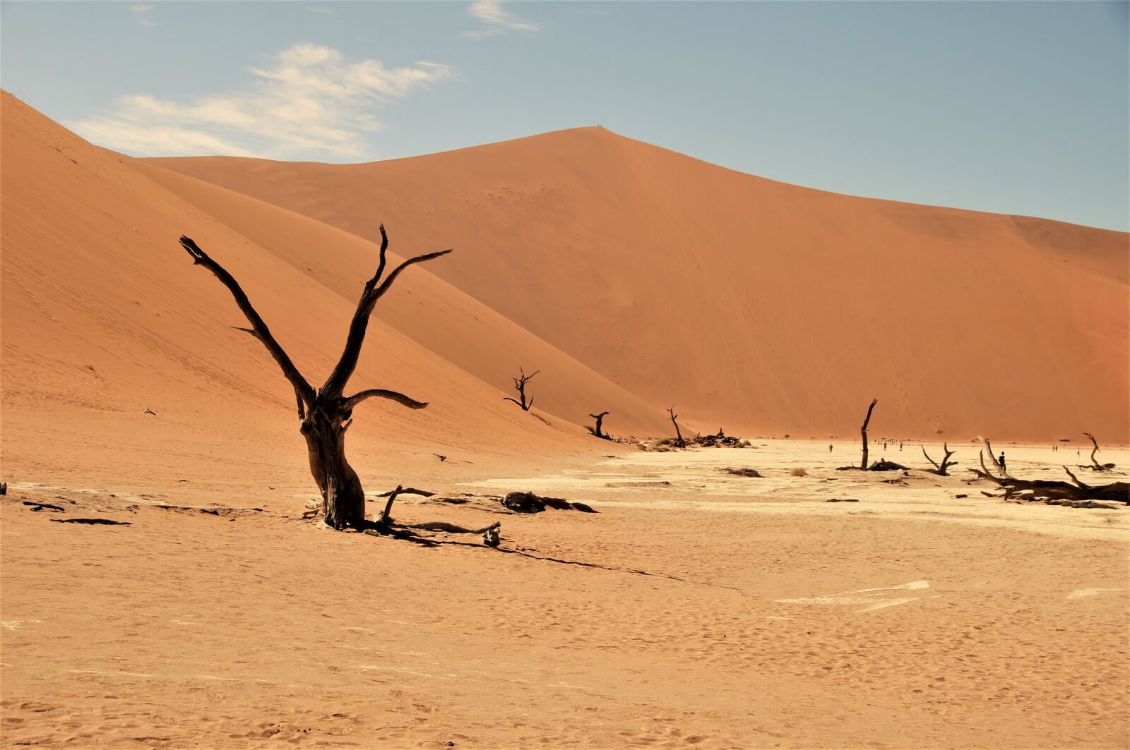 Sony SLT-A37 sample photo. Namib desert, namibia, desert photography