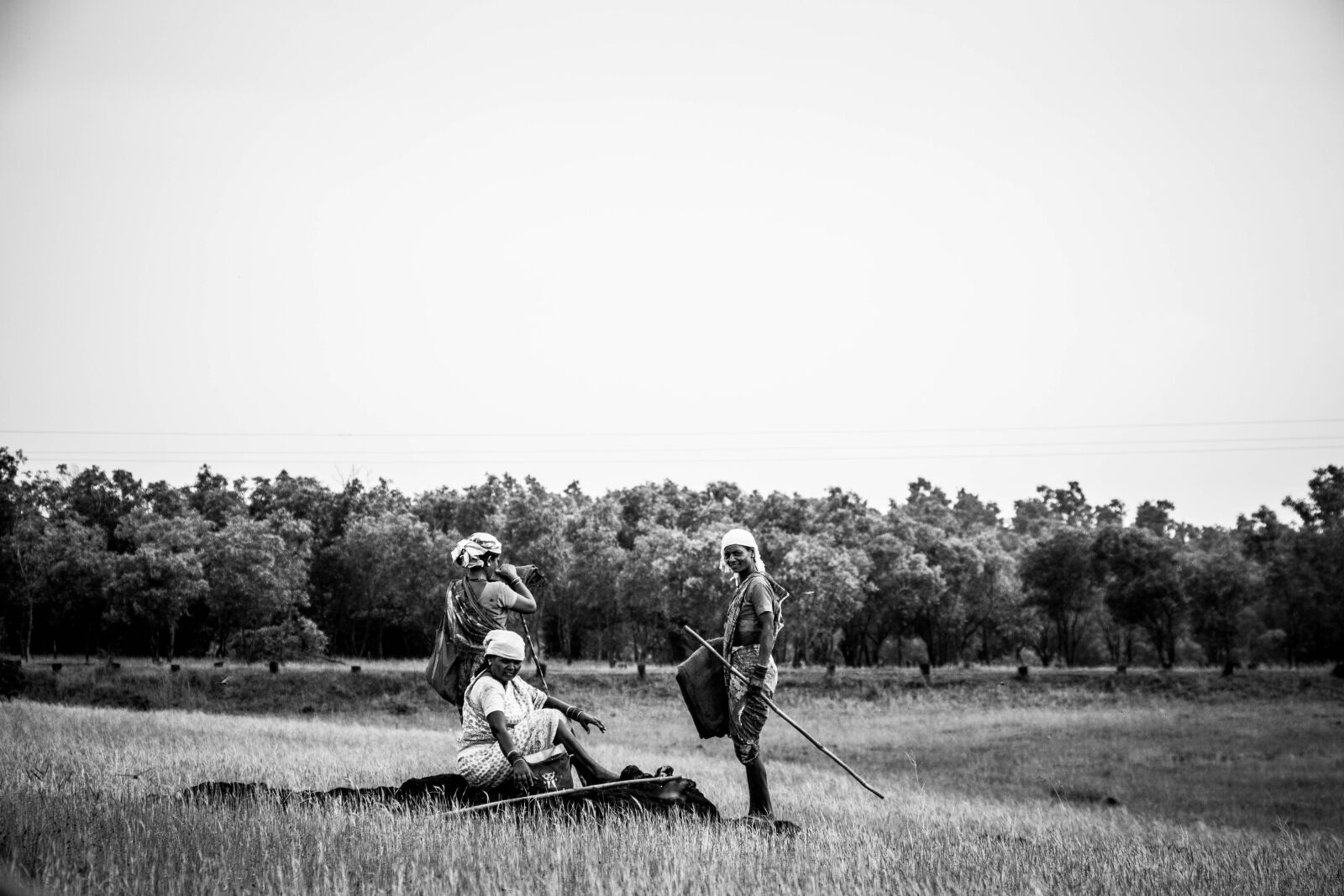 Canon EOS 70D sample photo. Black, and, white, countryside photography