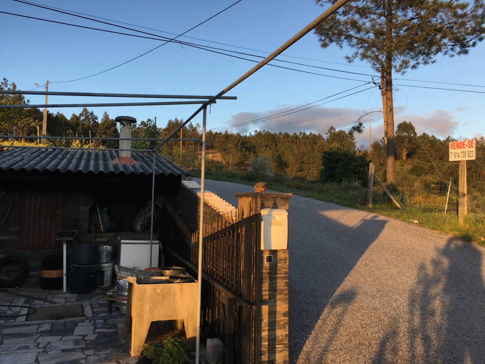 Apple iPhone 6s sample photo. Perdiz, ao, domiçilio photography