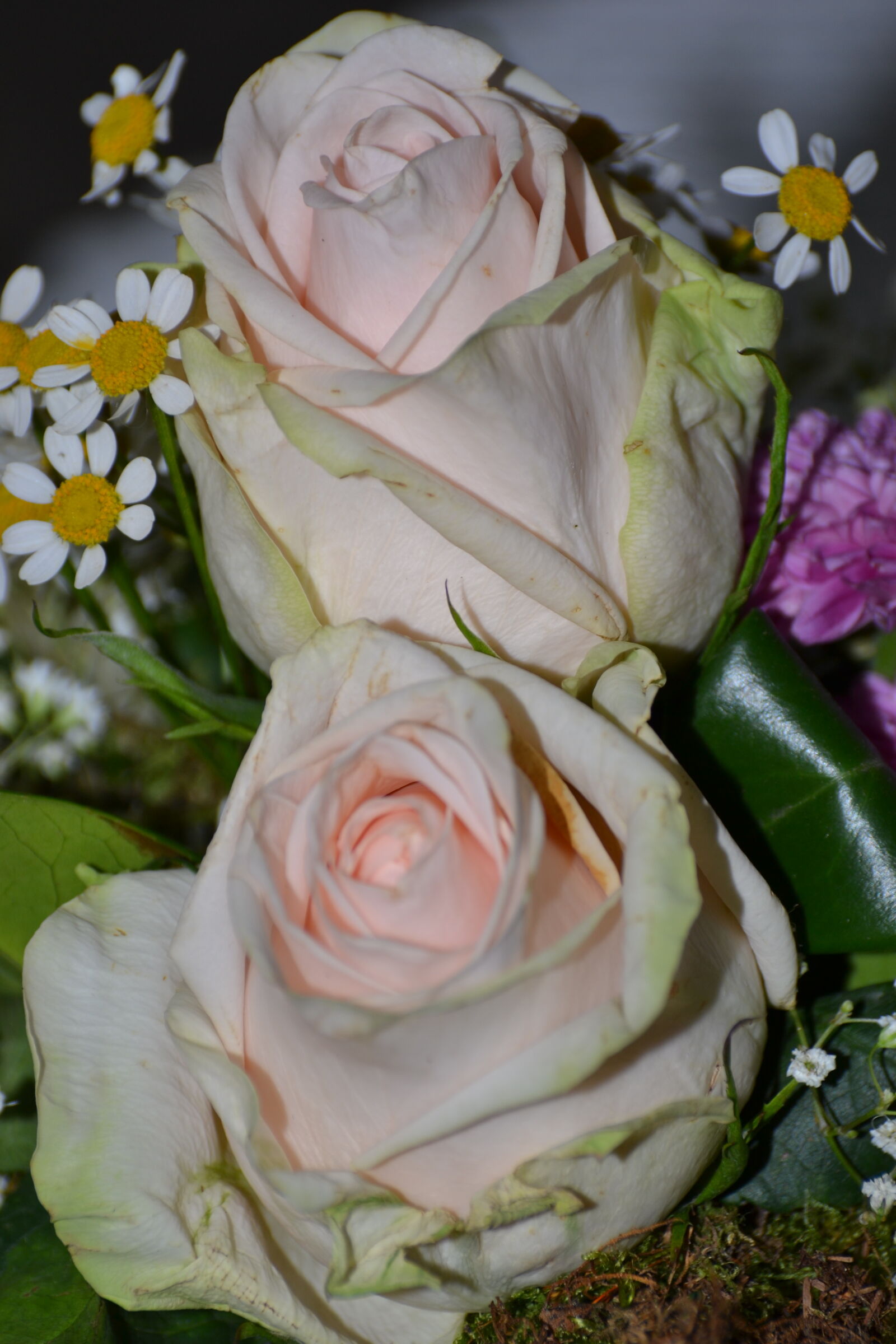 Nikon D3100 sample photo. Bunch, of, flowers, close photography