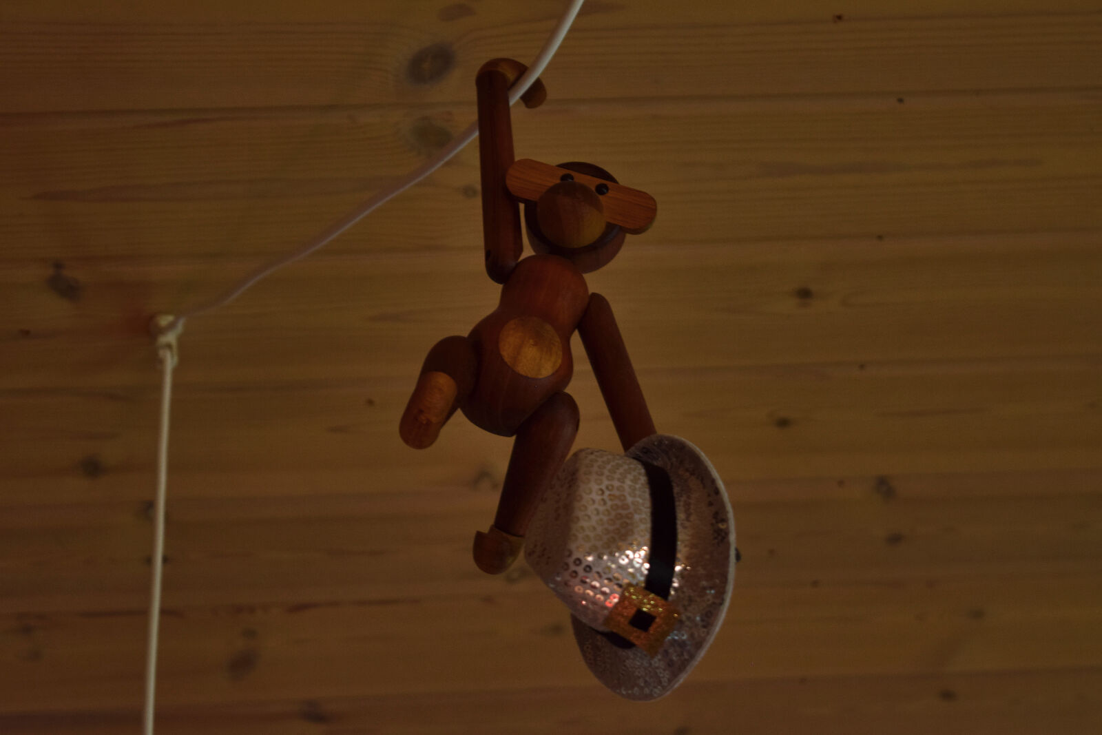 Nikon D3300 sample photo. Monkey, party, hat, theme photography