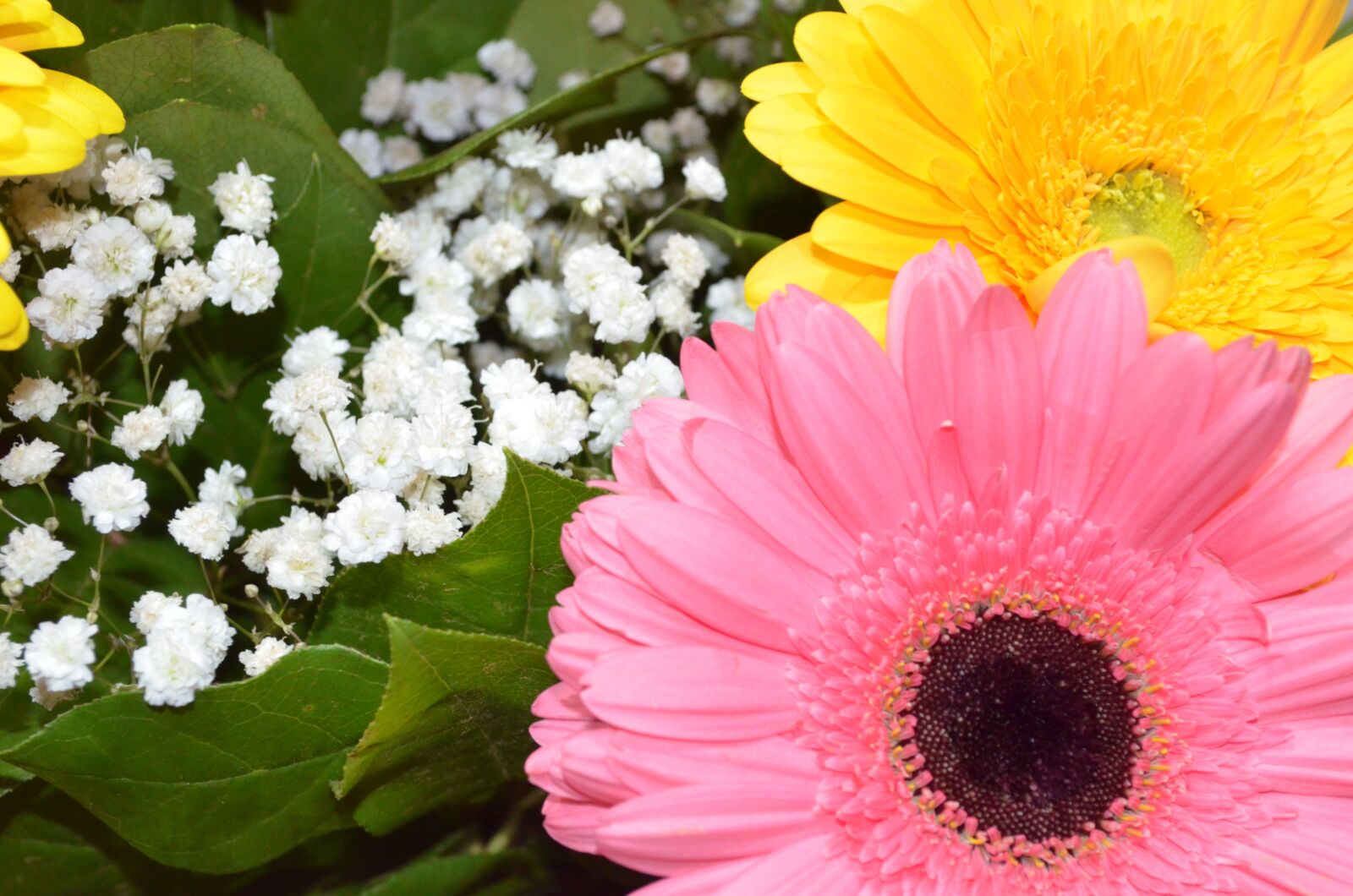 Nikon D5100 sample photo. Flowers, bouquet, arrangement photography