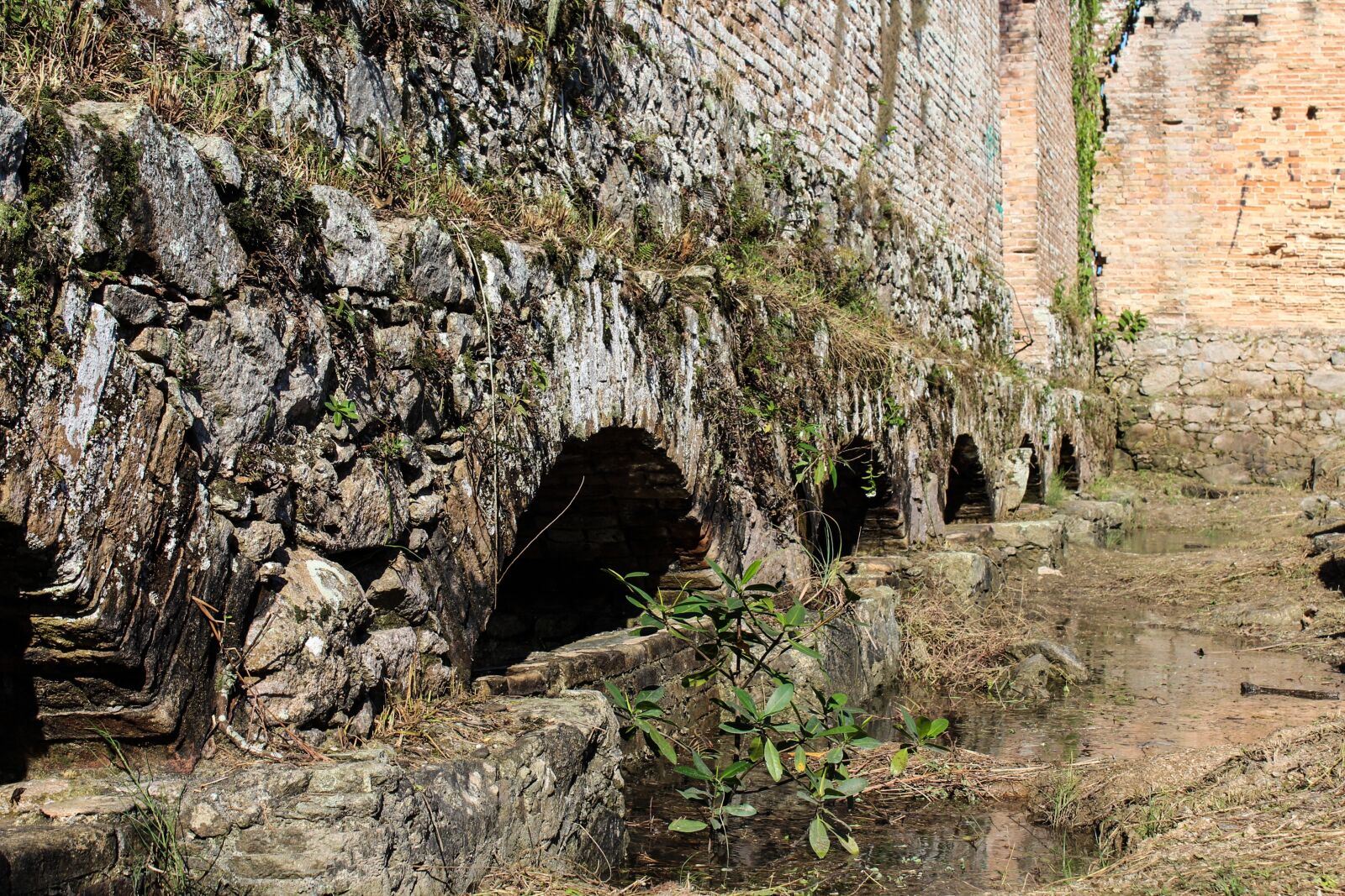 Canon EOS 1200D (EOS Rebel T5 / EOS Kiss X70 / EOS Hi) sample photo. Ruins, ruinas, antonina photography