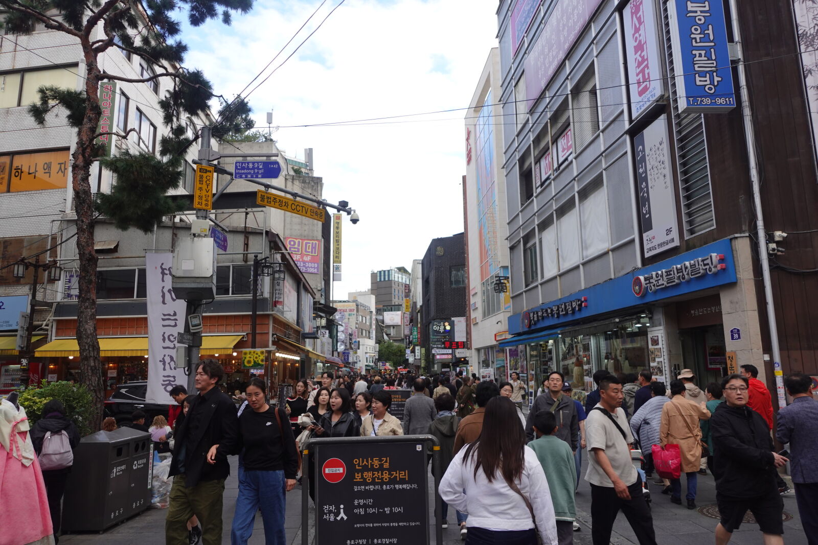 Sony ZV-1 sample photo