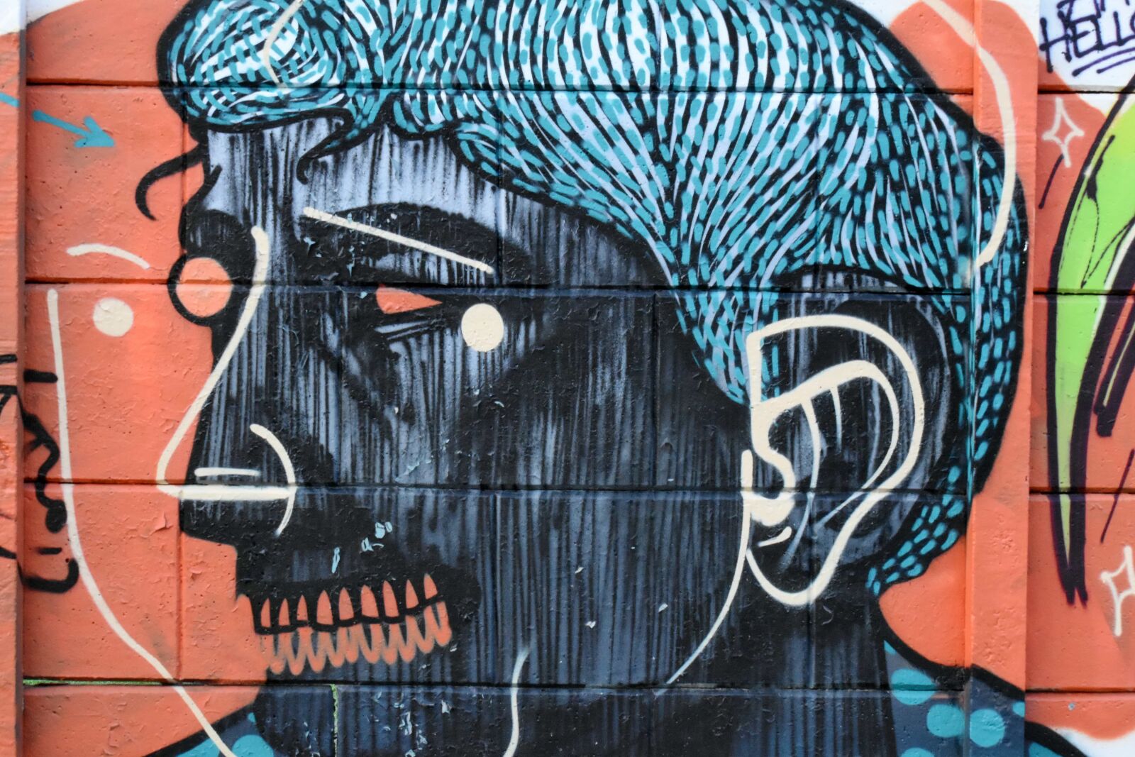 Nikon D5500 sample photo. Portrait, woman, graffiti, vandalism photography