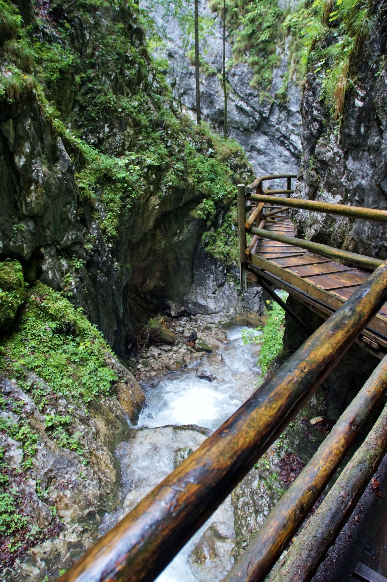 Sony SLT-A58 sample photo. Alps, austria, defile photography