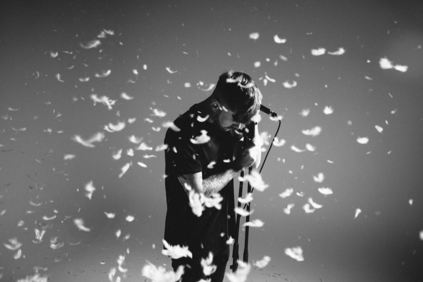 Canon EOS 6D + Canon EF 24-70mm F2.8L USM sample photo. Action, adult, confetti photography