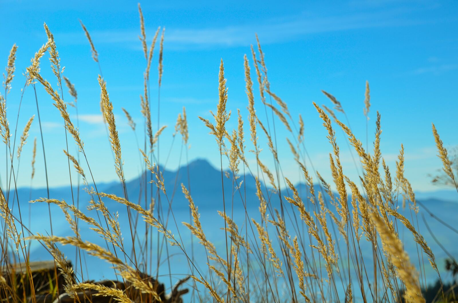 Nikon D7000 sample photo. Mountains, foresight, alpine photography