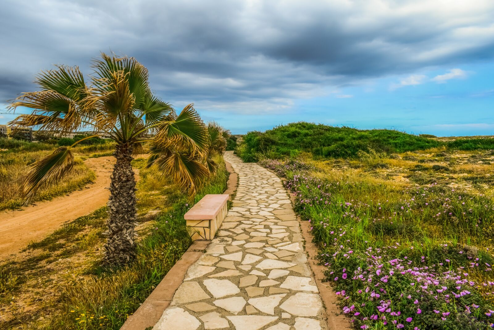Nikon D3300 sample photo. Path, scenery, sky photography