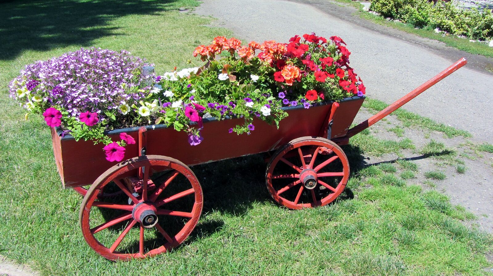 Canon PowerShot SX220 HS sample photo. Car, flower pot, summer photography