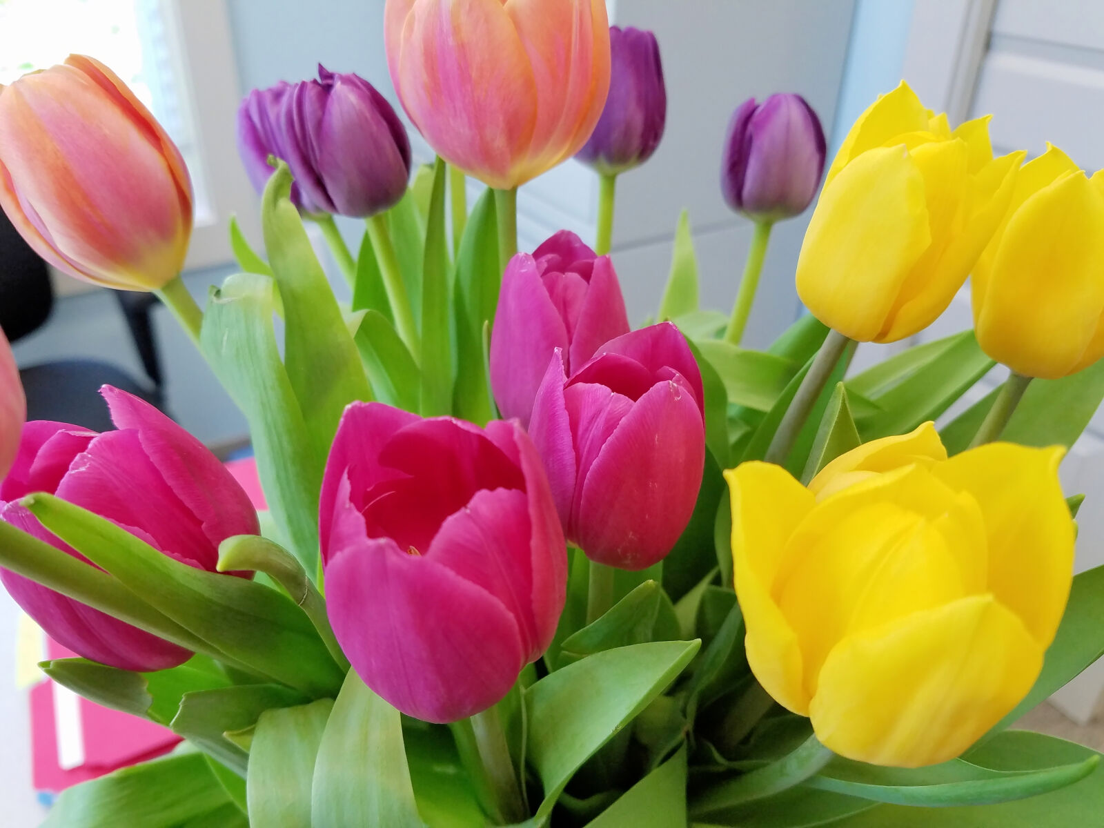 Samsung Galaxy S7 sample photo. Bulbs, flowers, indoor, flowers photography