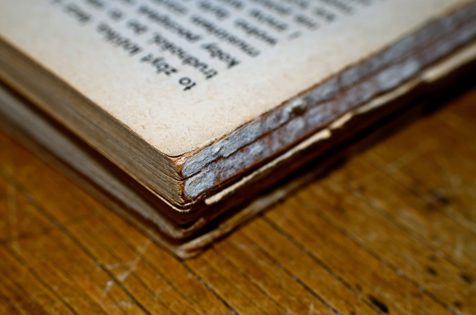 Nikon D7000 sample photo. Book, macro, closeup photography