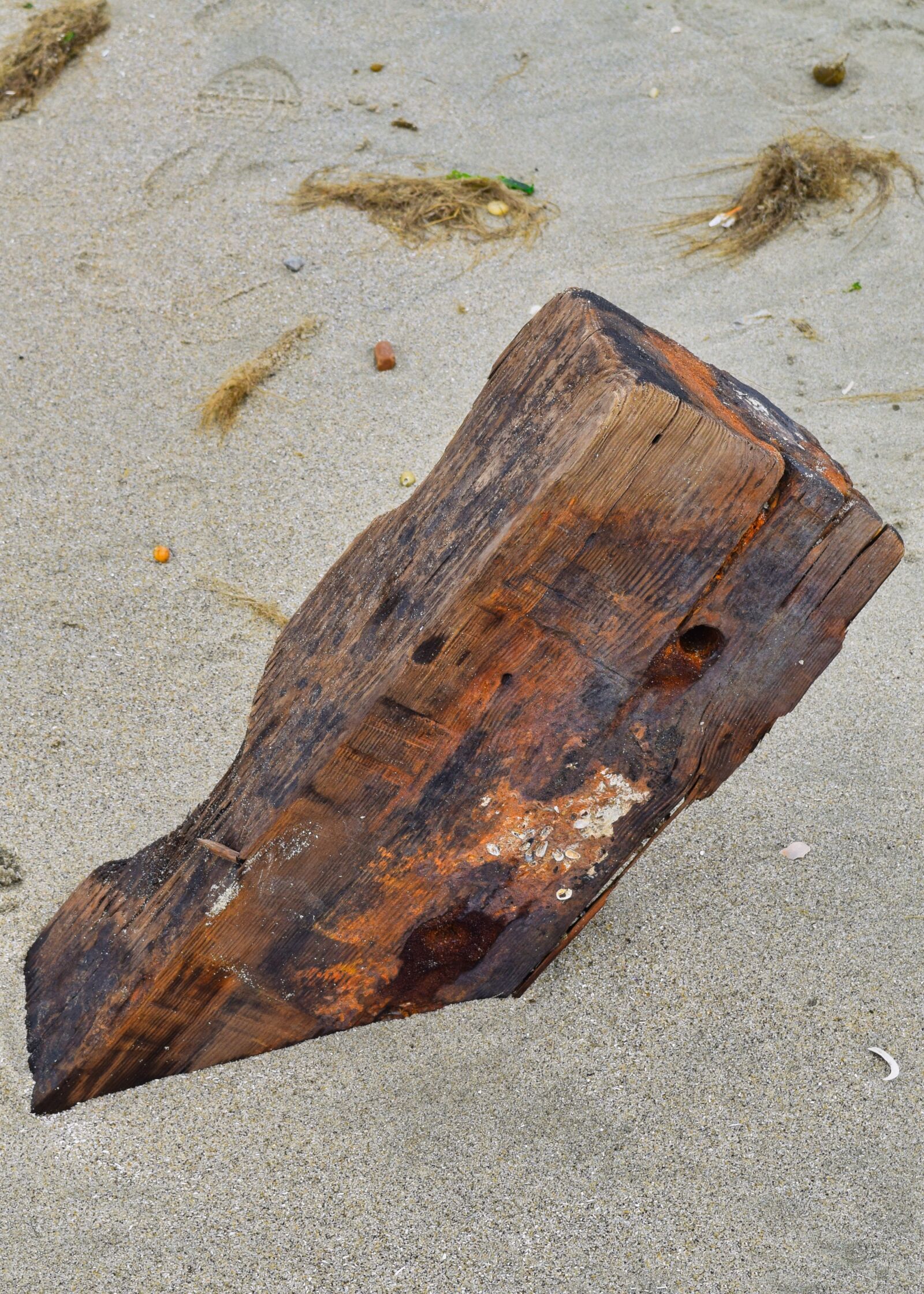 Nikon D3300 sample photo. Driftwood, sand, seashore photography