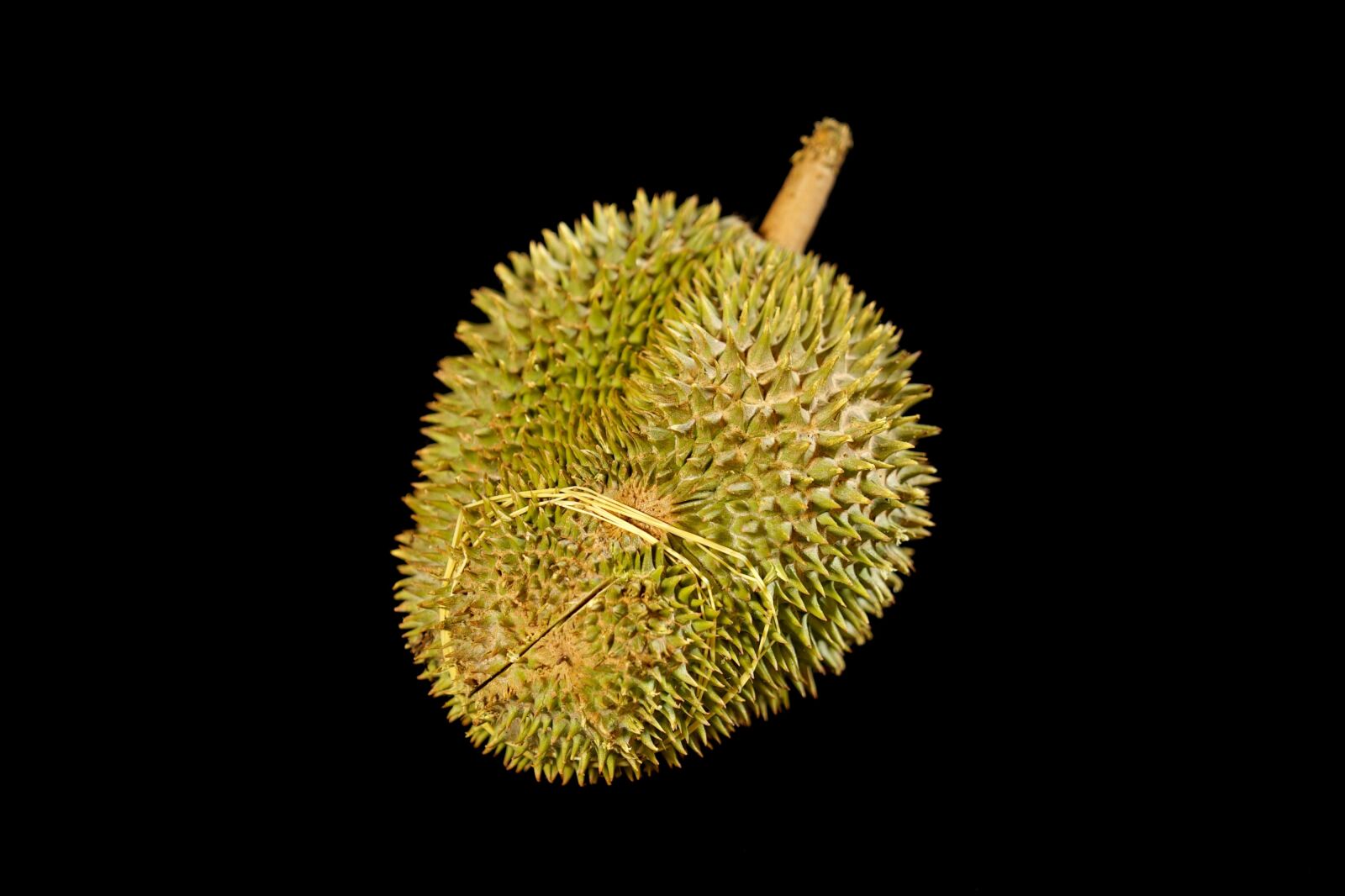 Sony a7S + Sony FE 24-70mm F2.8 GM sample photo. Durian fruit, king of photography