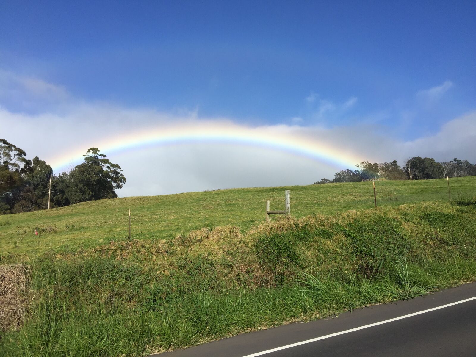 iPhone 6 Plus back camera 4.15mm f/2.2 sample photo. Maui, rainbow, haleakala photography